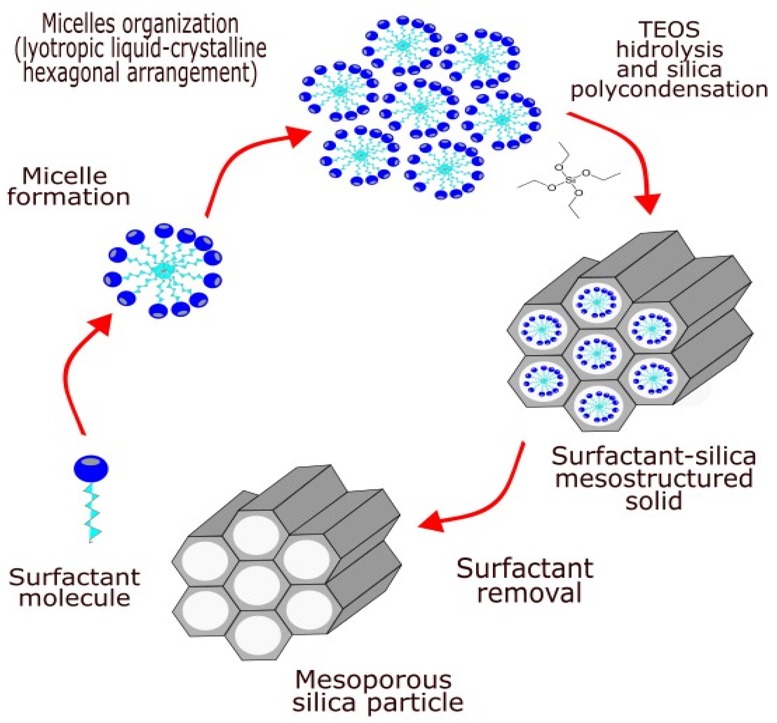 Pharmaceutics 16 01004 g001