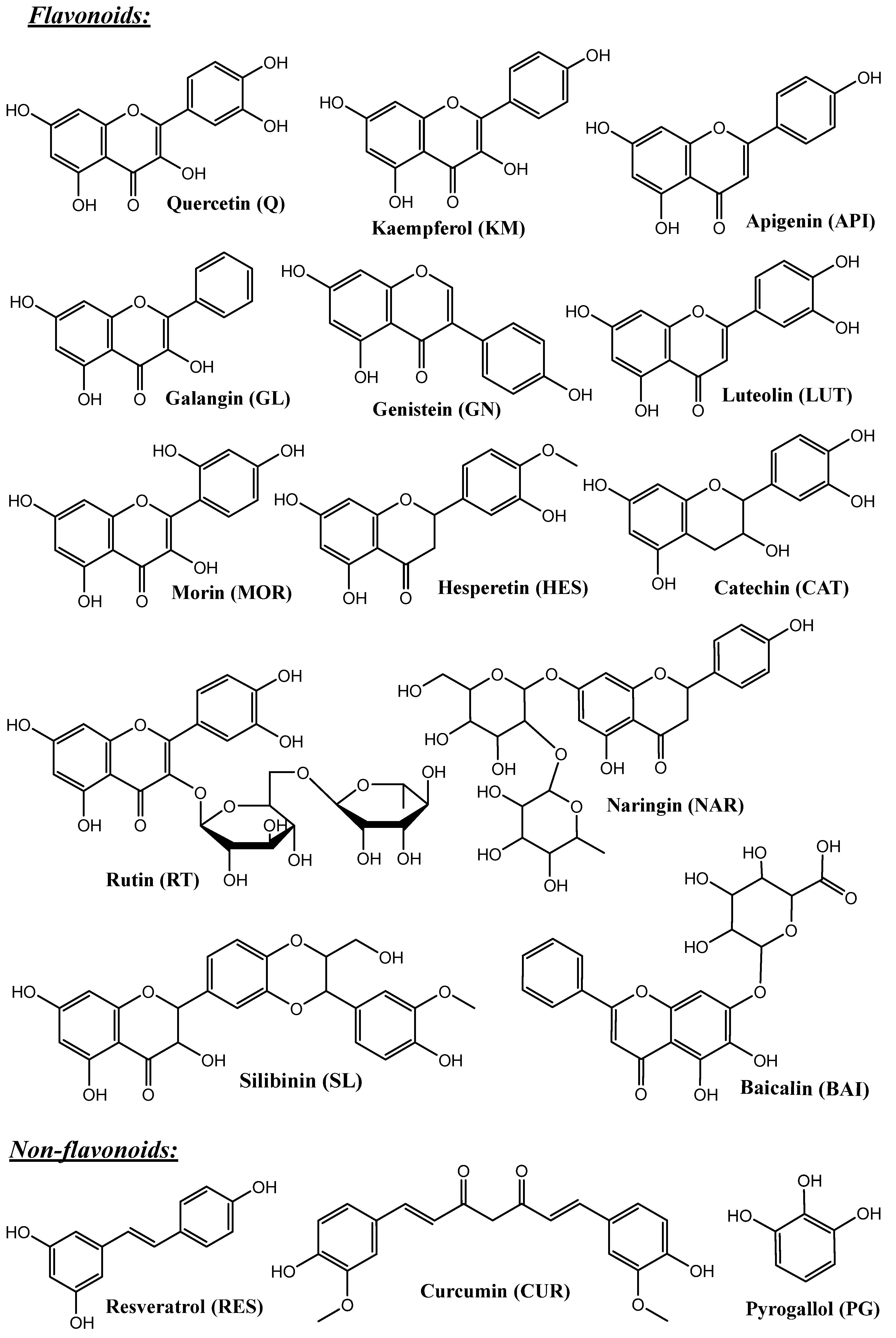 Pharmaceutics 16 01004 g003a