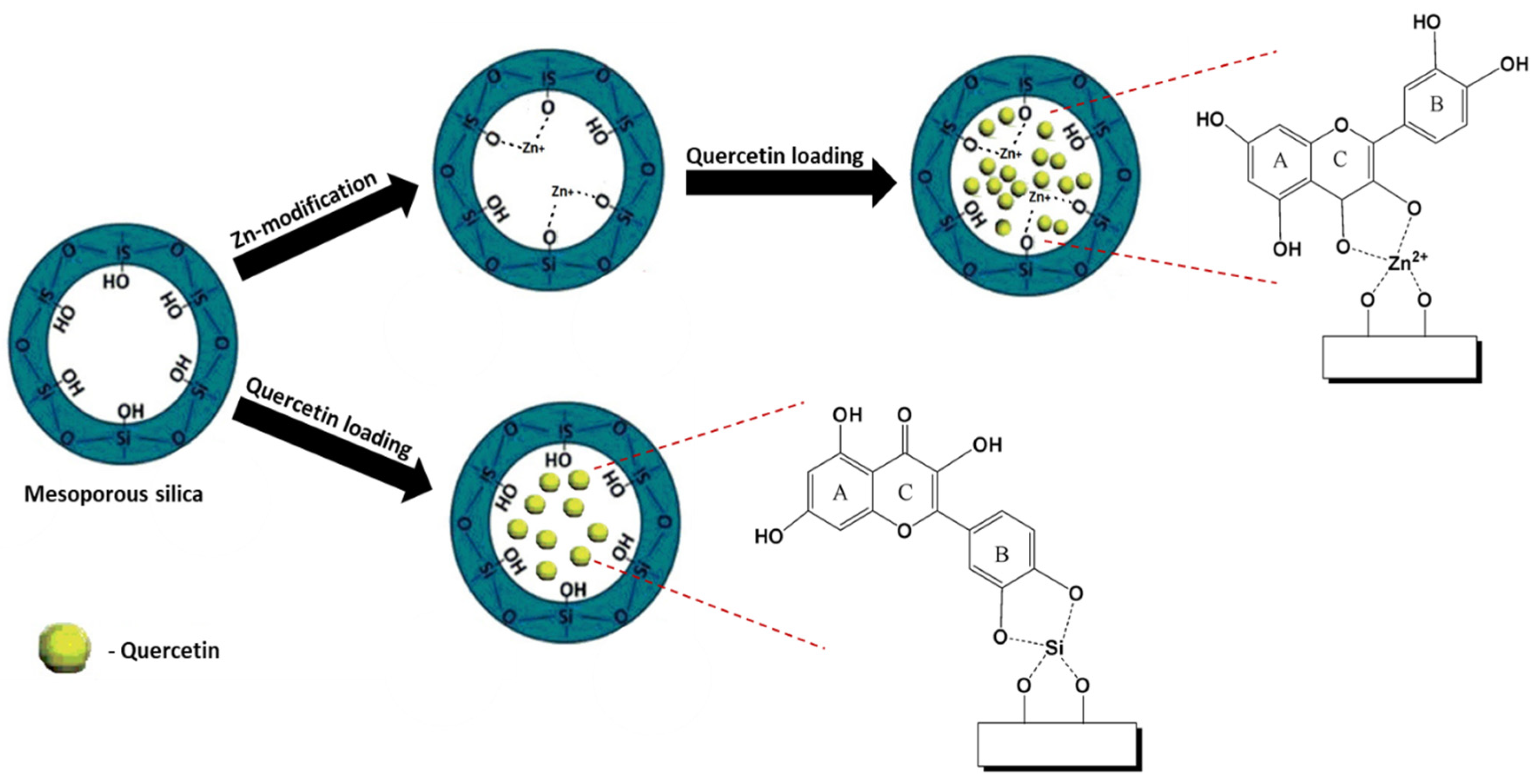 Pharmaceutics 16 01004 g010