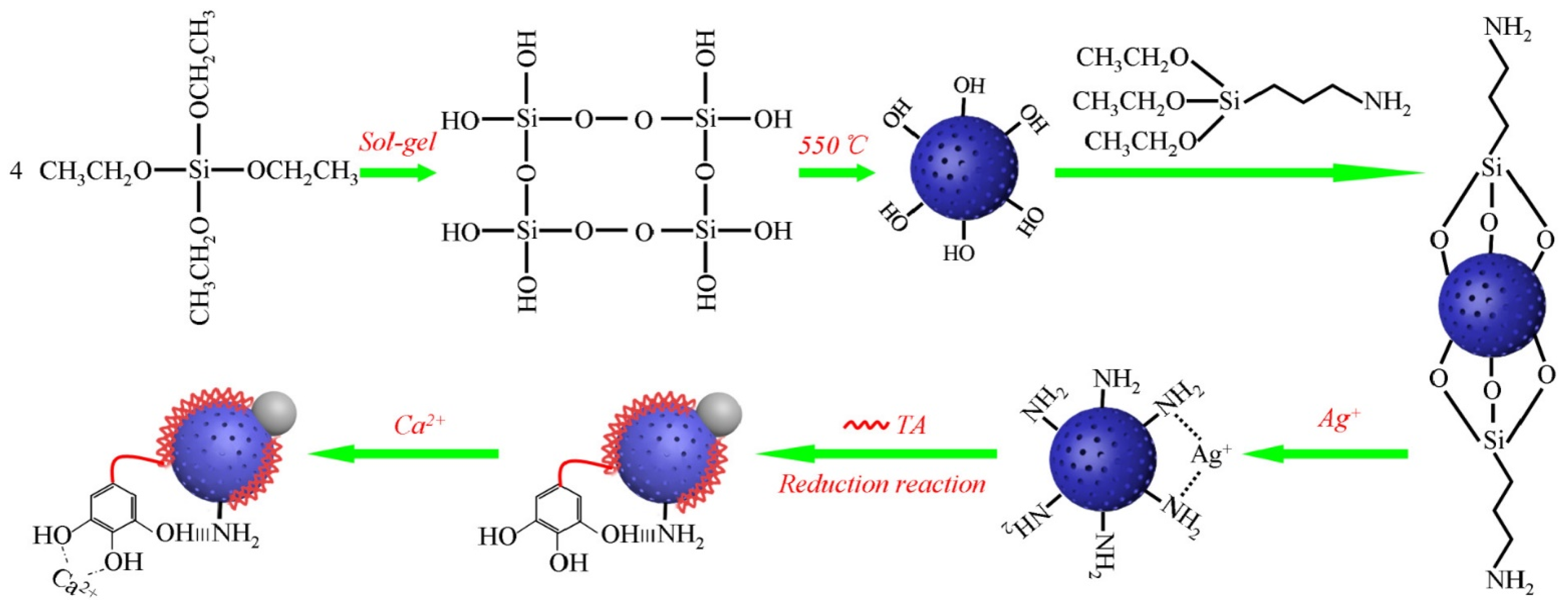 Pharmaceutics 16 01004 g011