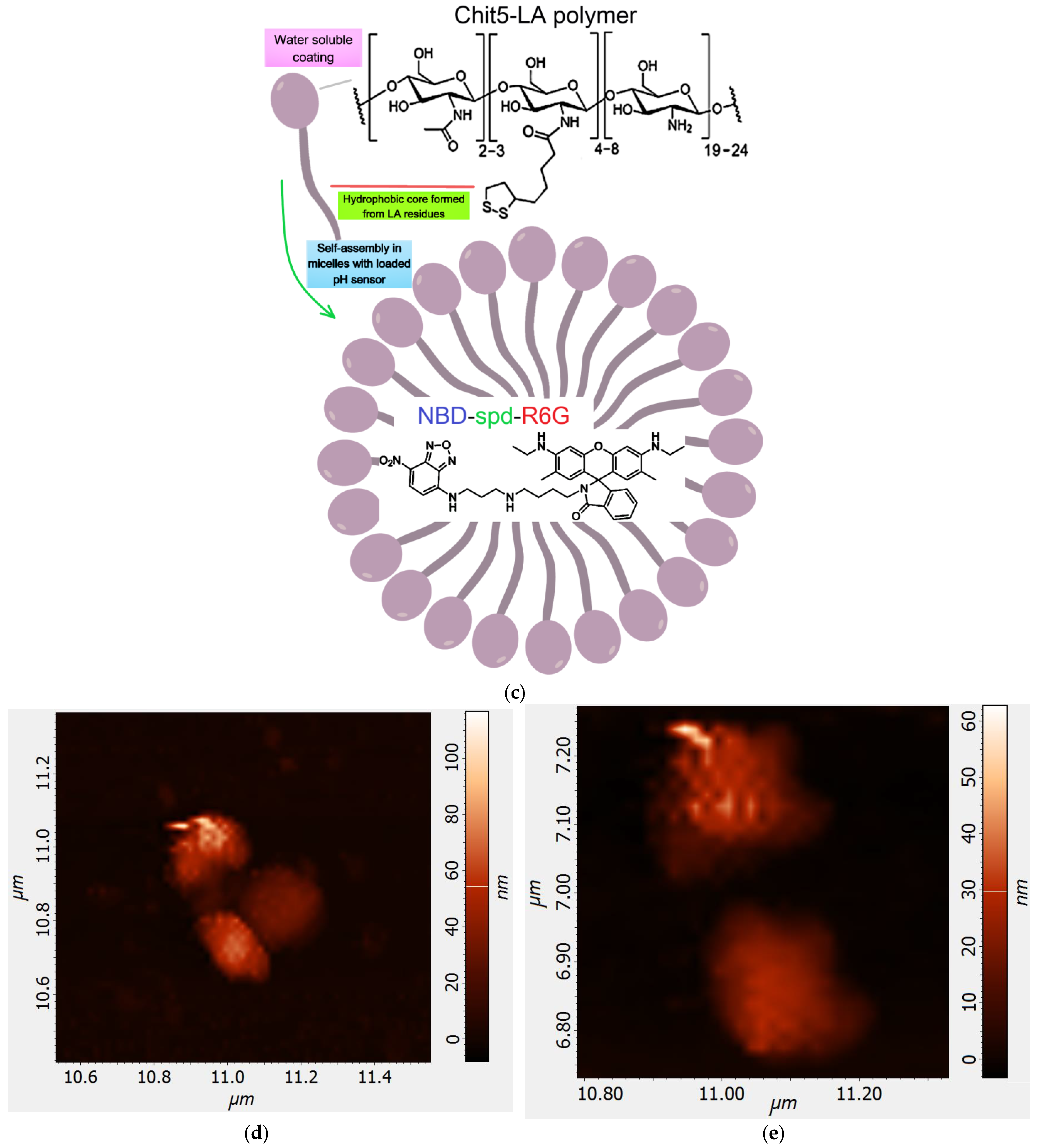 Pharmaceutics 16 01007 g004b Pharmaceutics 16 01007 g004b