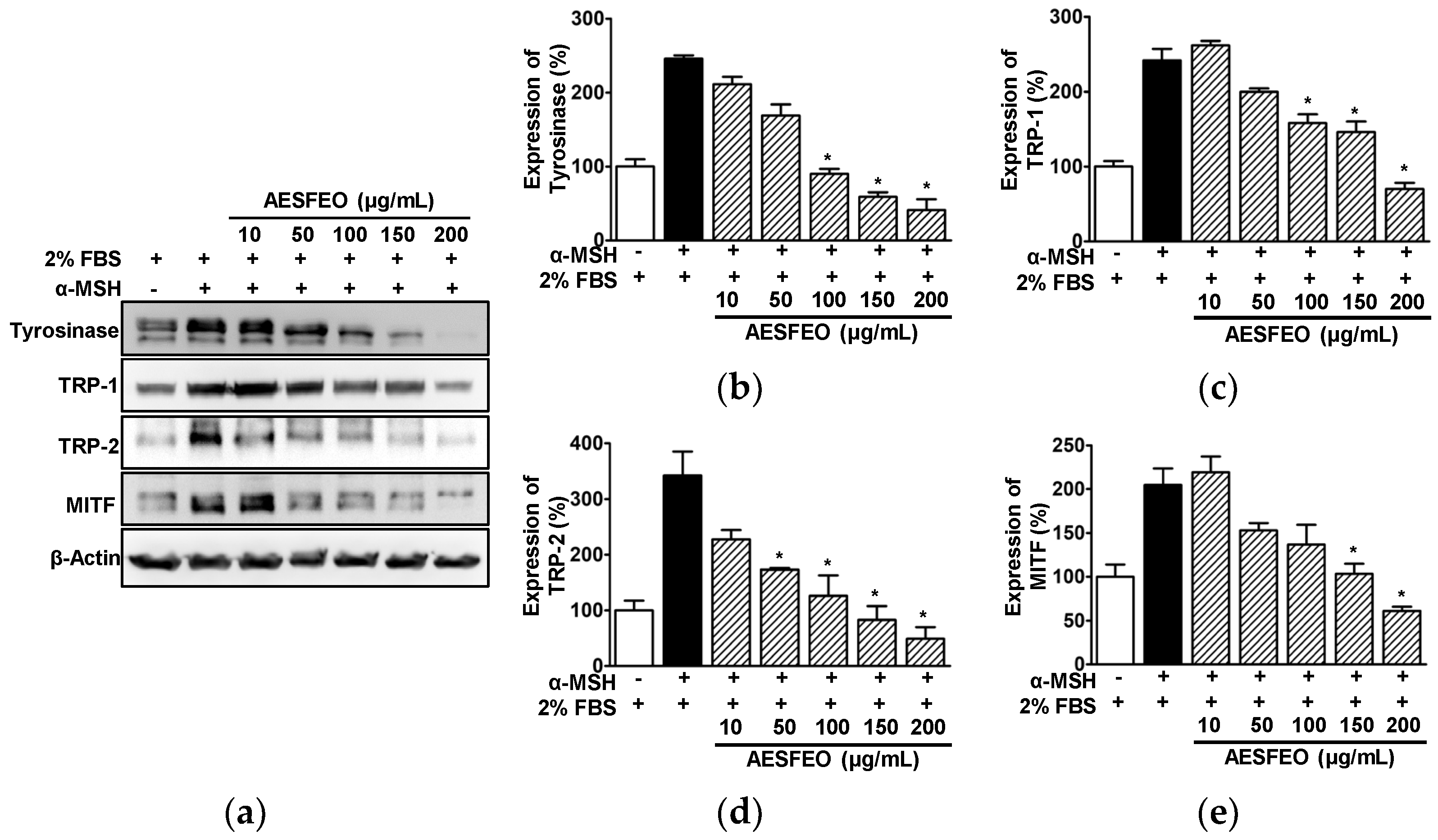 Pharmaceutics 16 01008 g005 Pharmaceutics 16 01008 g005