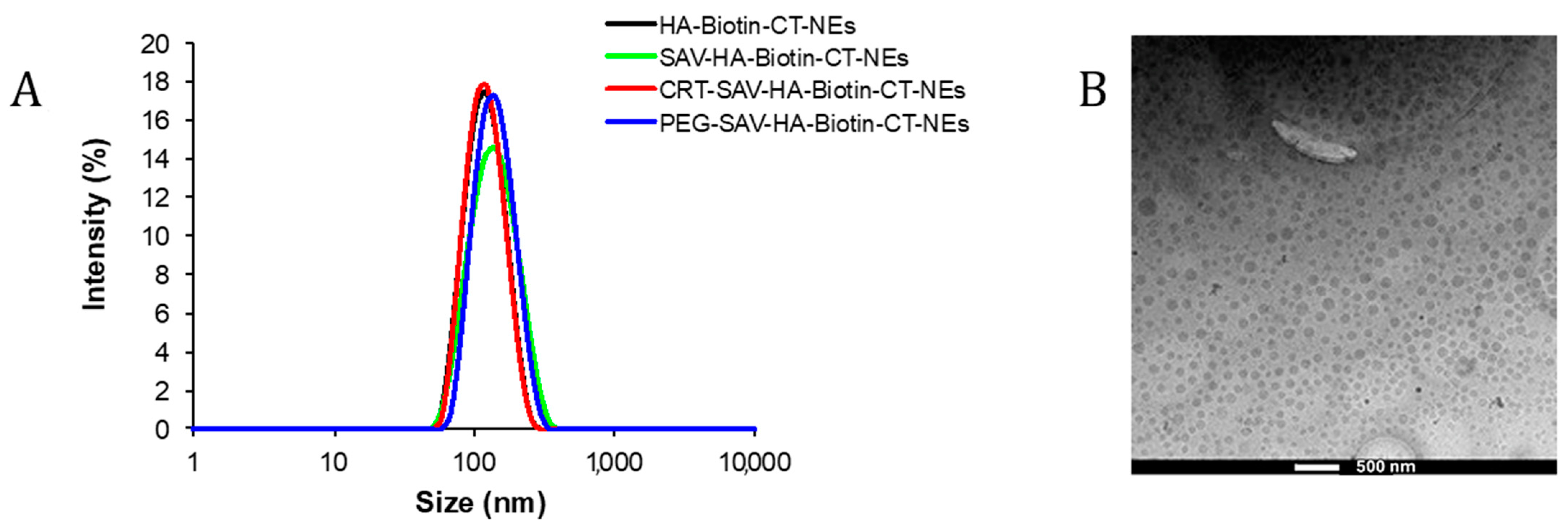 Pharmaceutics 16 01010 g005