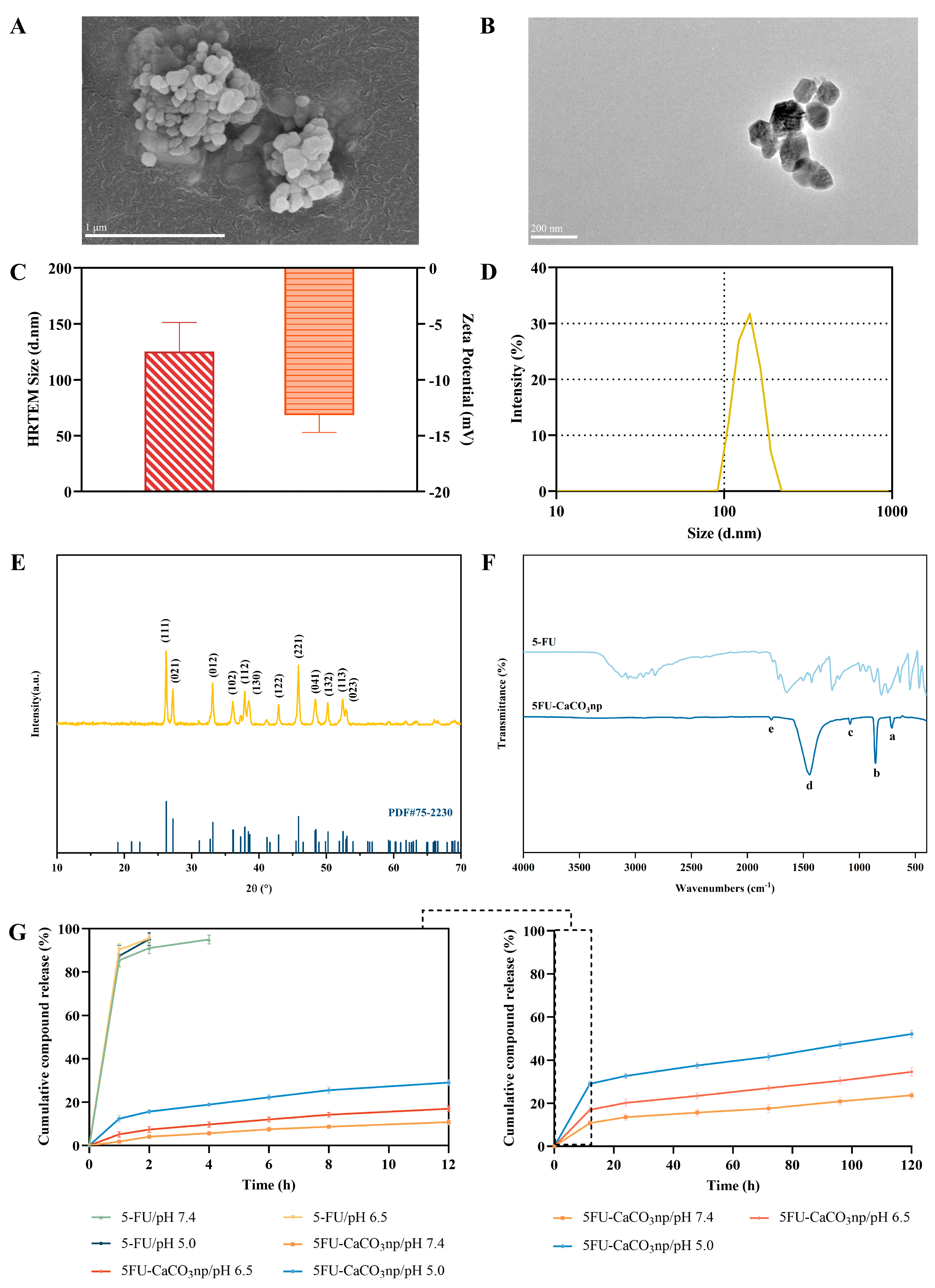 Pharmaceutics 16 01011 g002