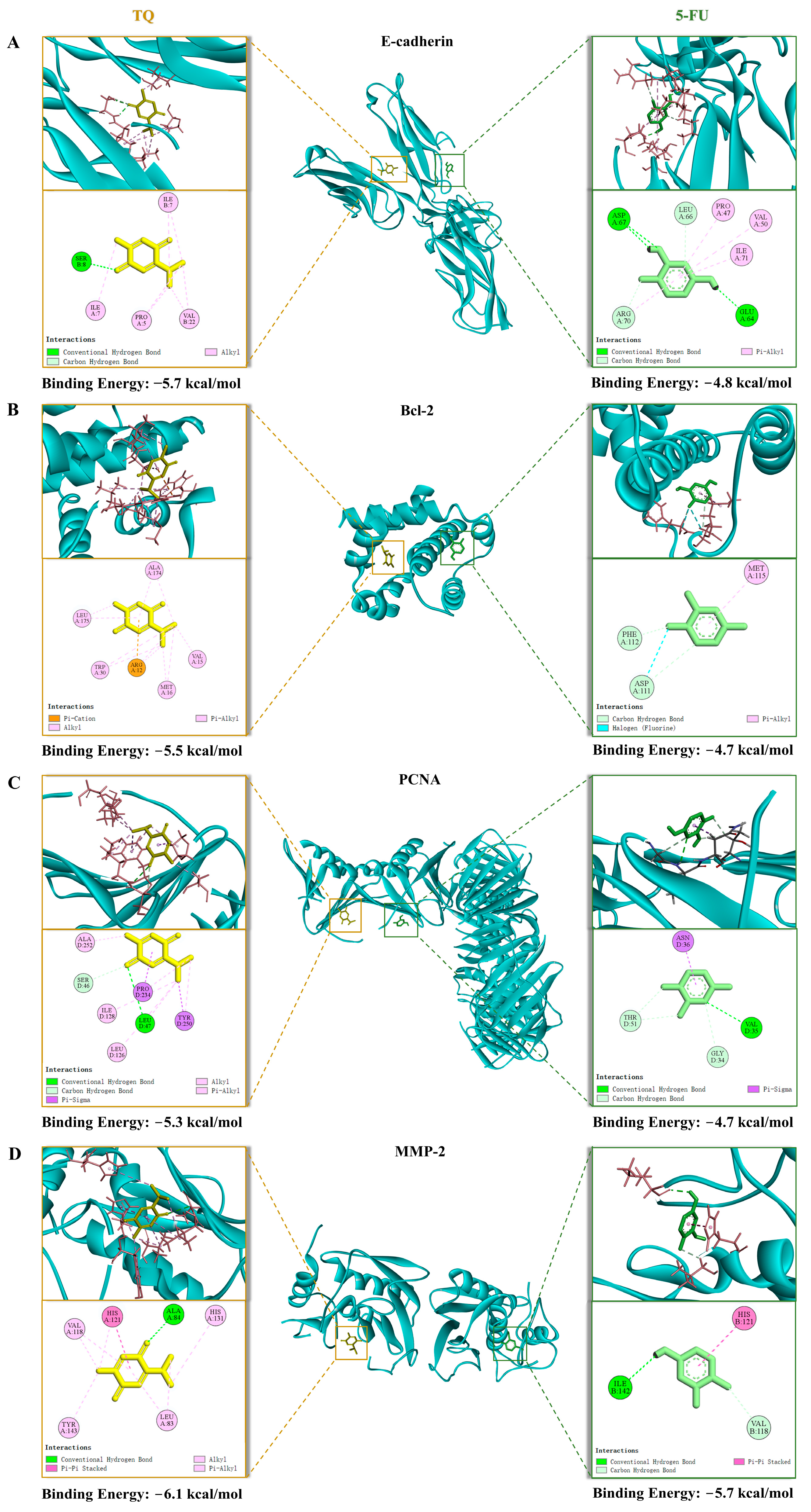 Pharmaceutics 16 01011 g006