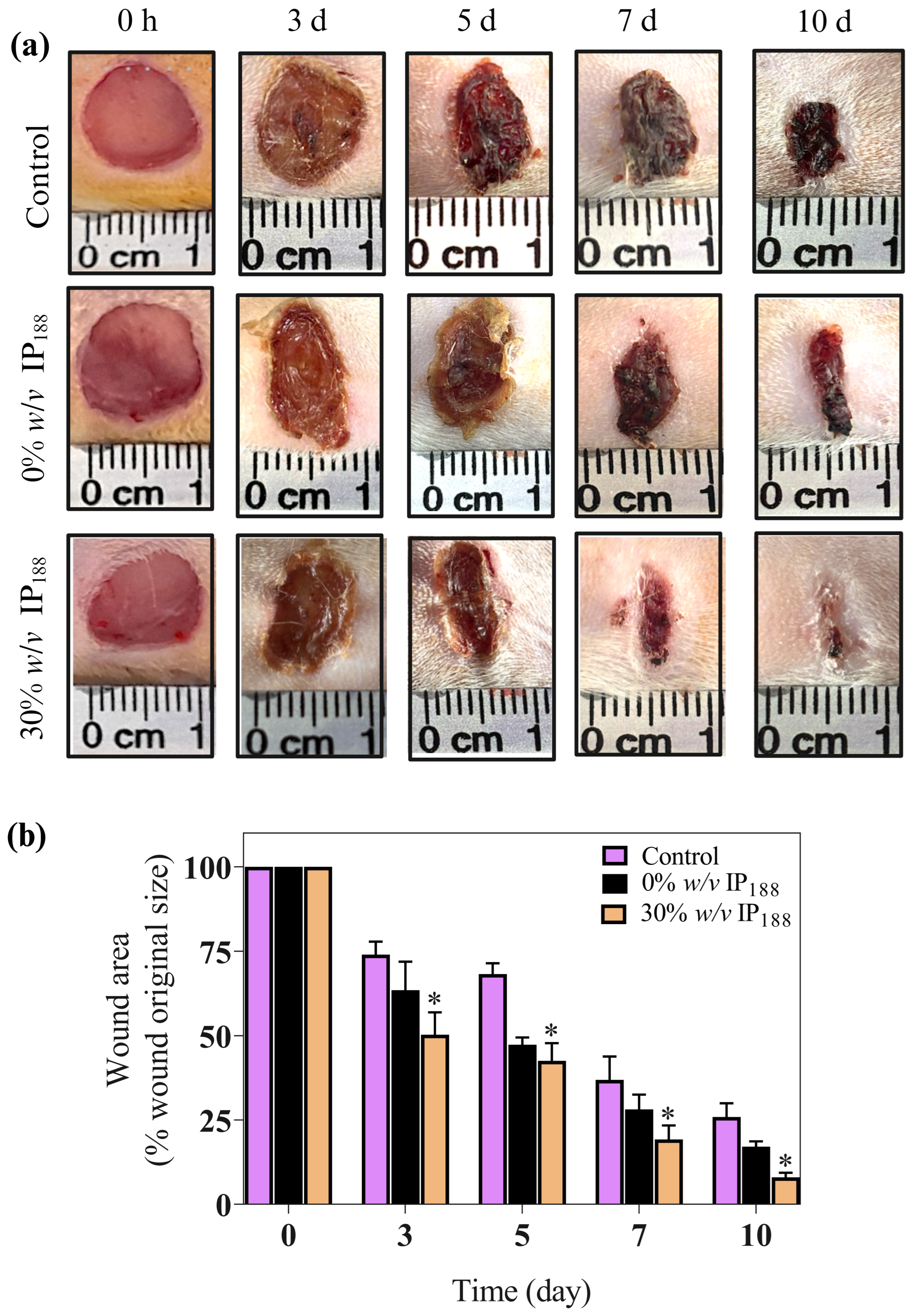 Pharmaceutics 16 01012 g009
