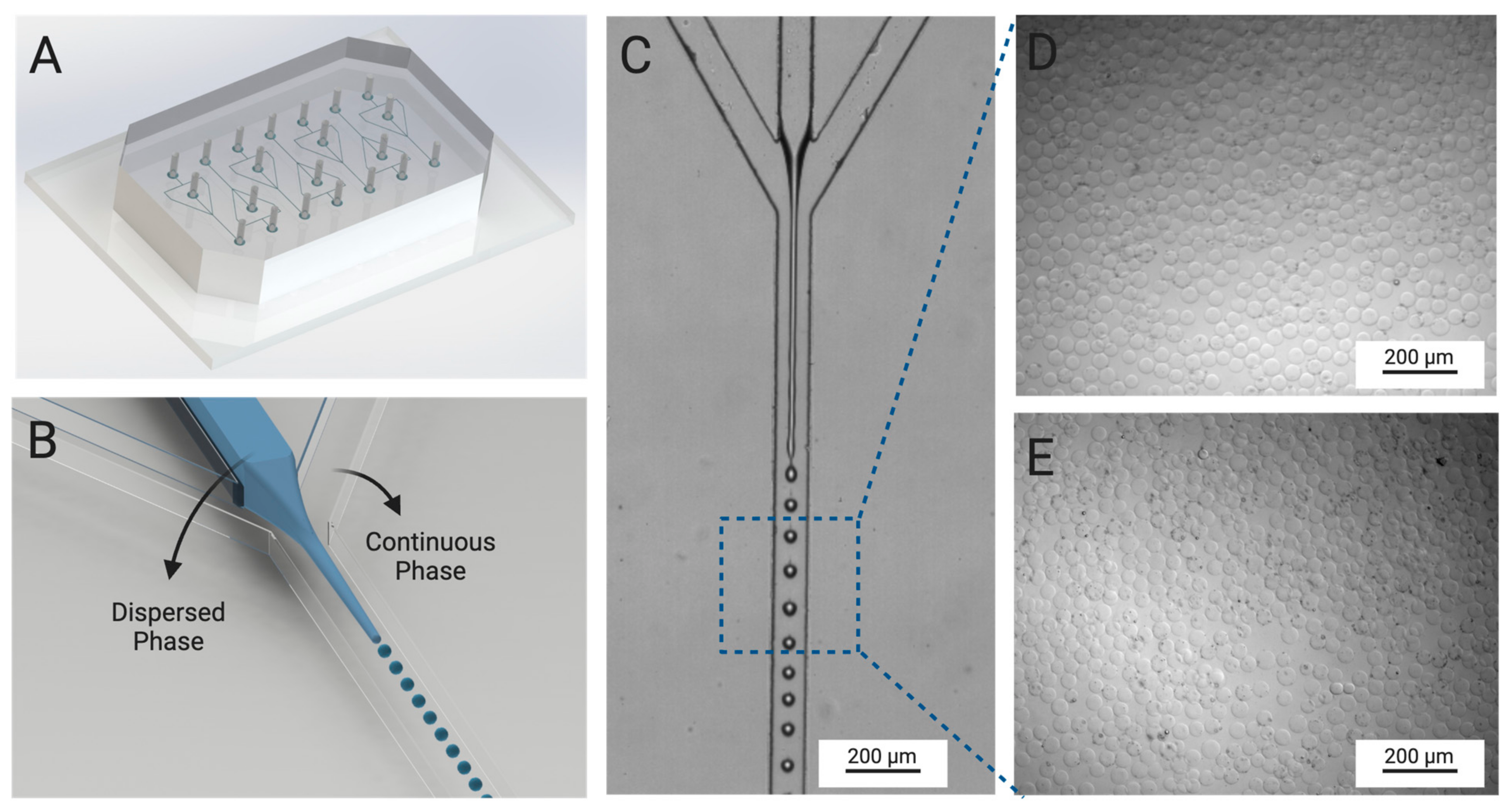 Pharmaceutics 16 01016 g003