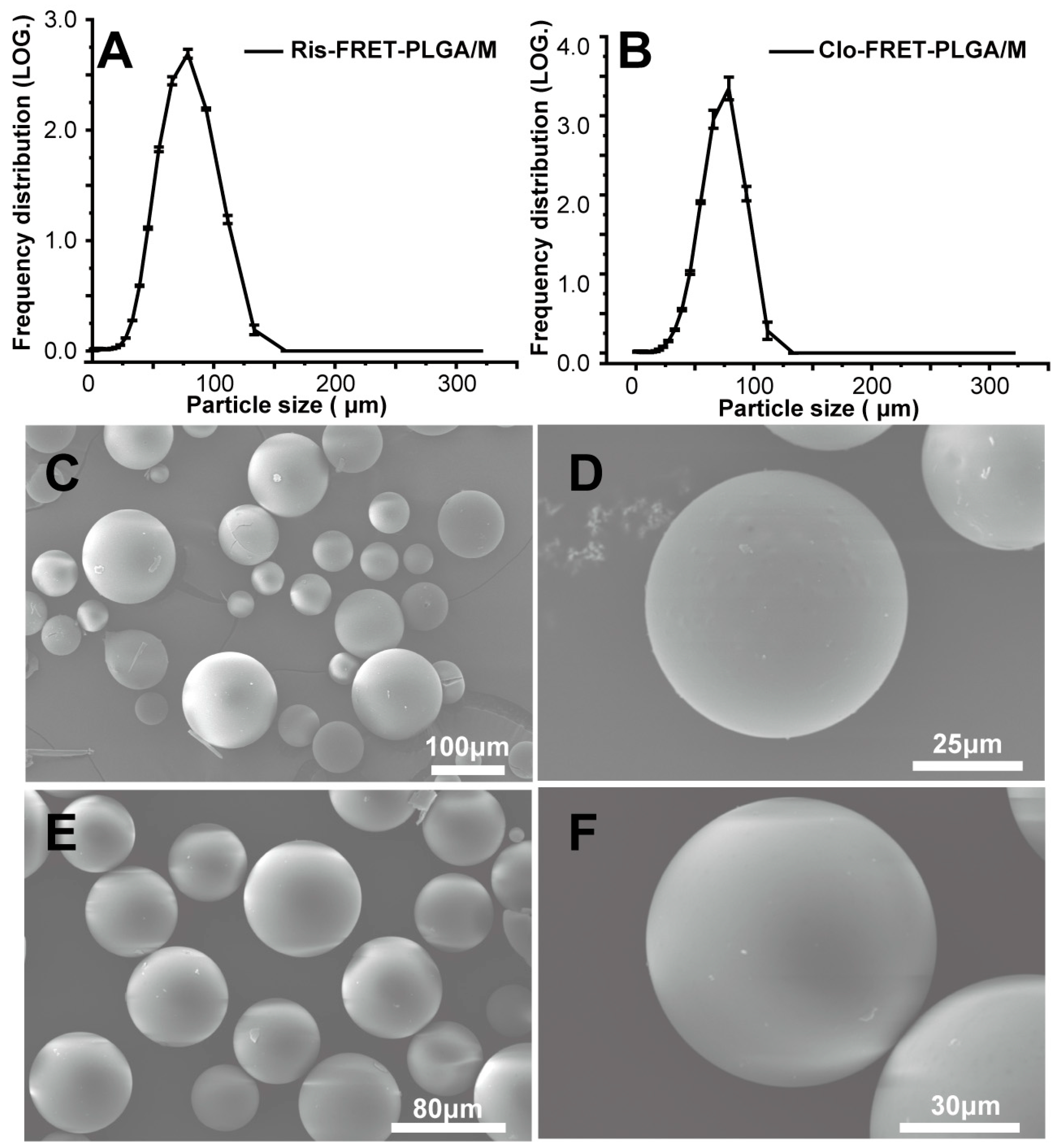 Pharmaceutics 16 01019 g001
