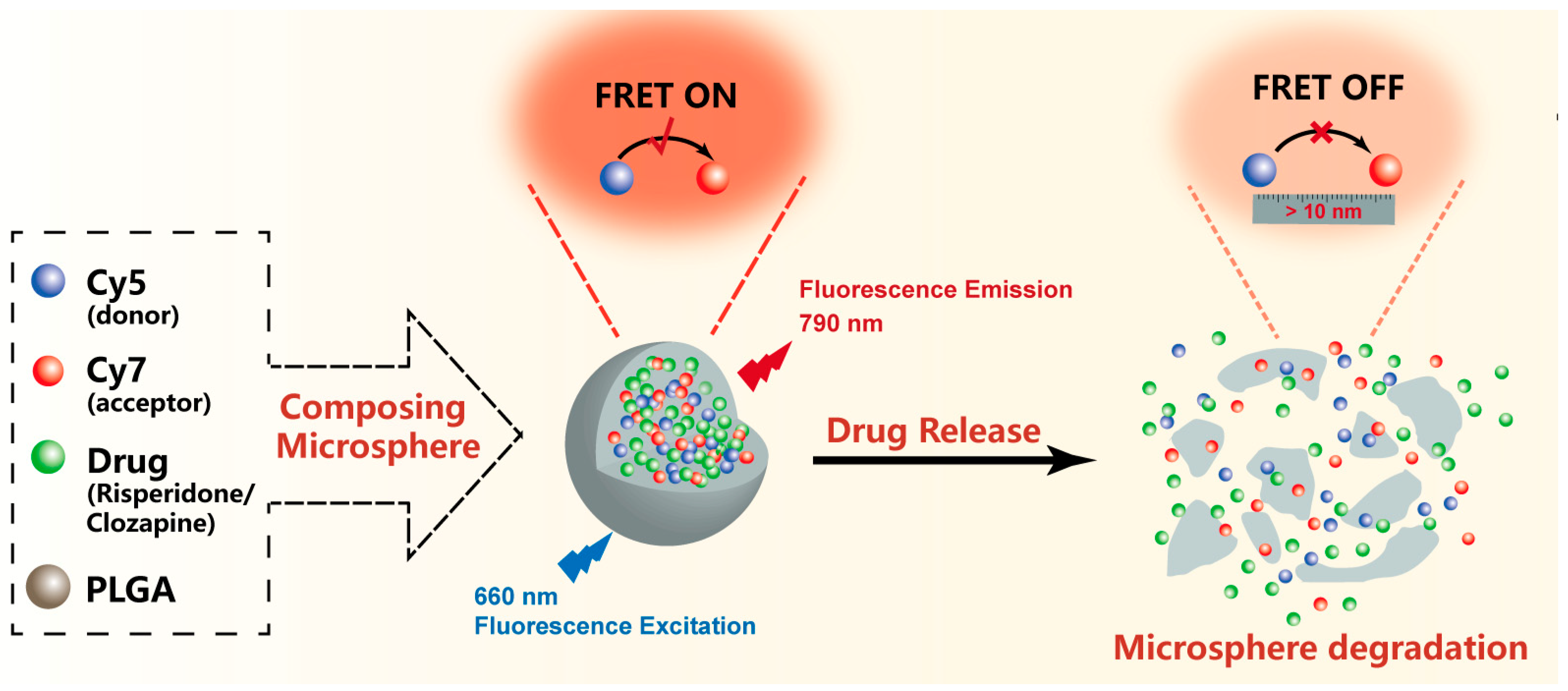 Pharmaceutics 16 01019 sch001