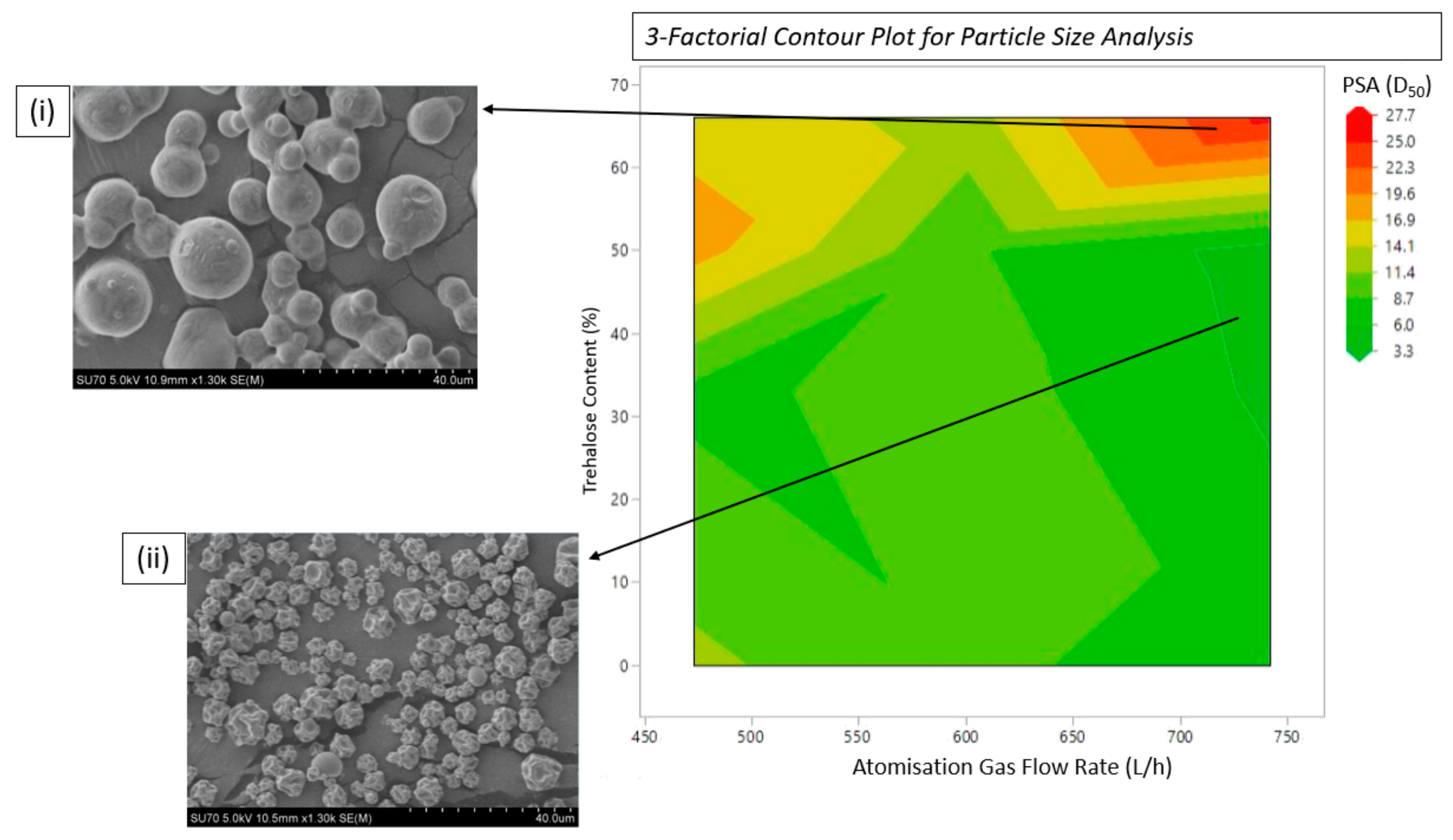 Pharmaceutics 16 01020 g002
