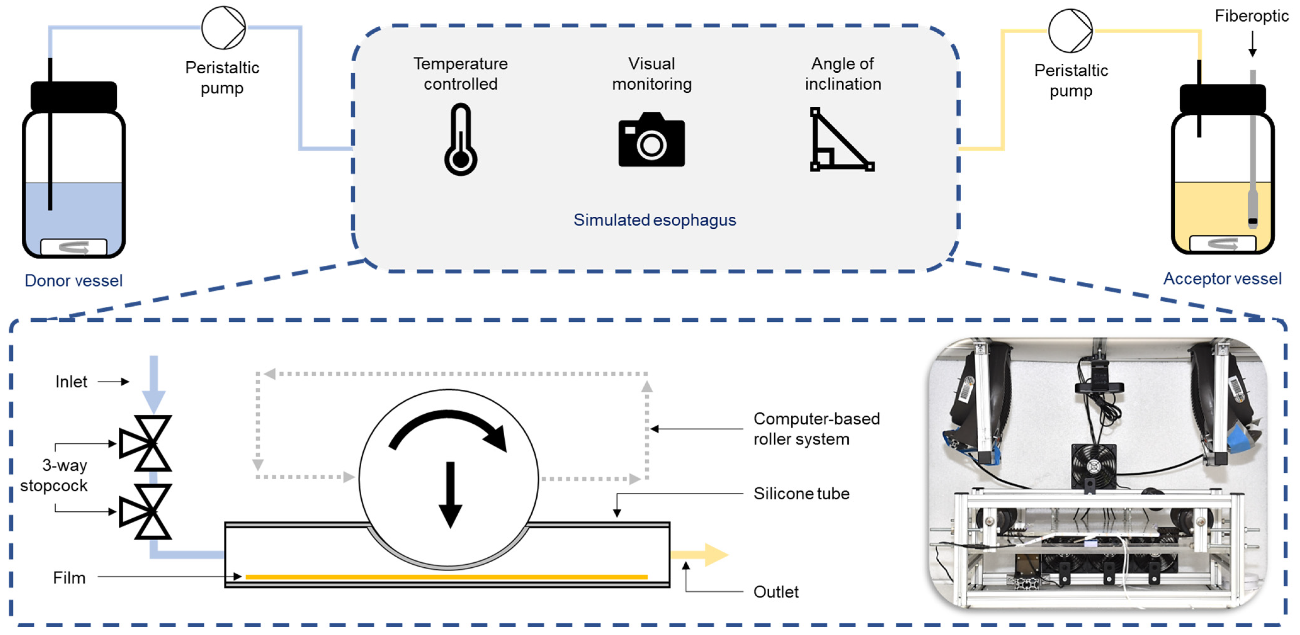 Pharmaceutics 16 01021 g001
