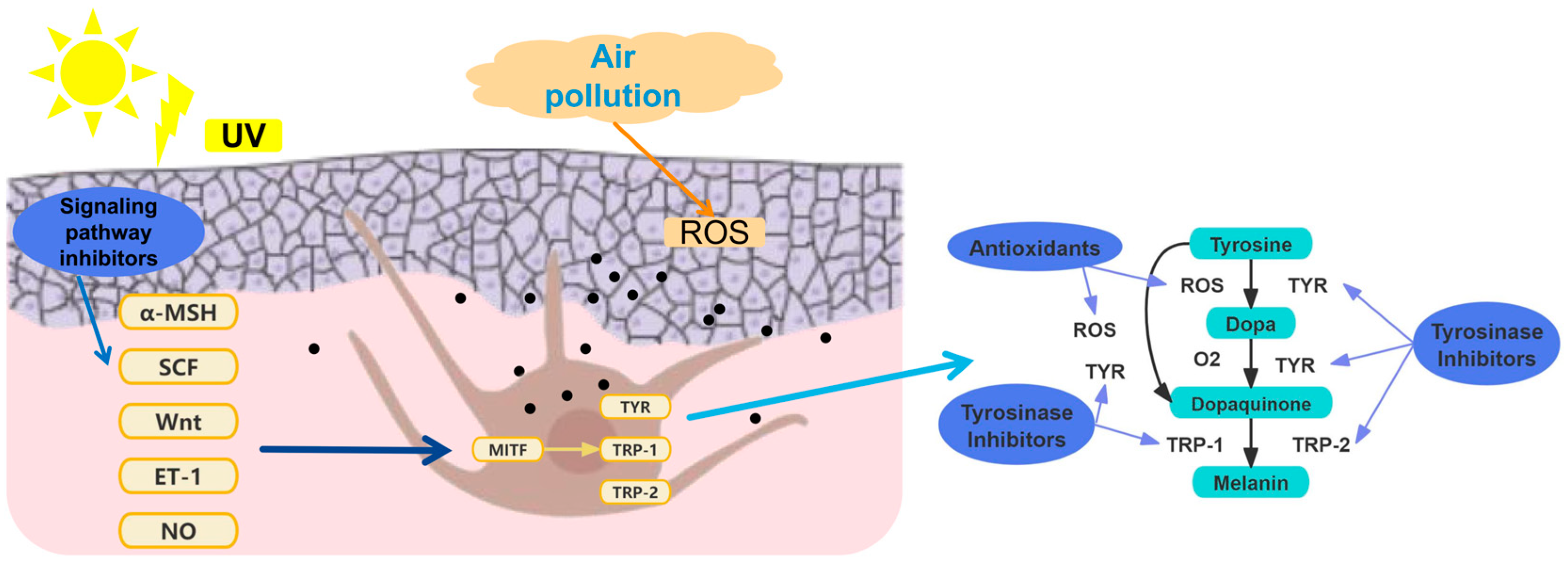 Pharmaceutics 16 01022 g001