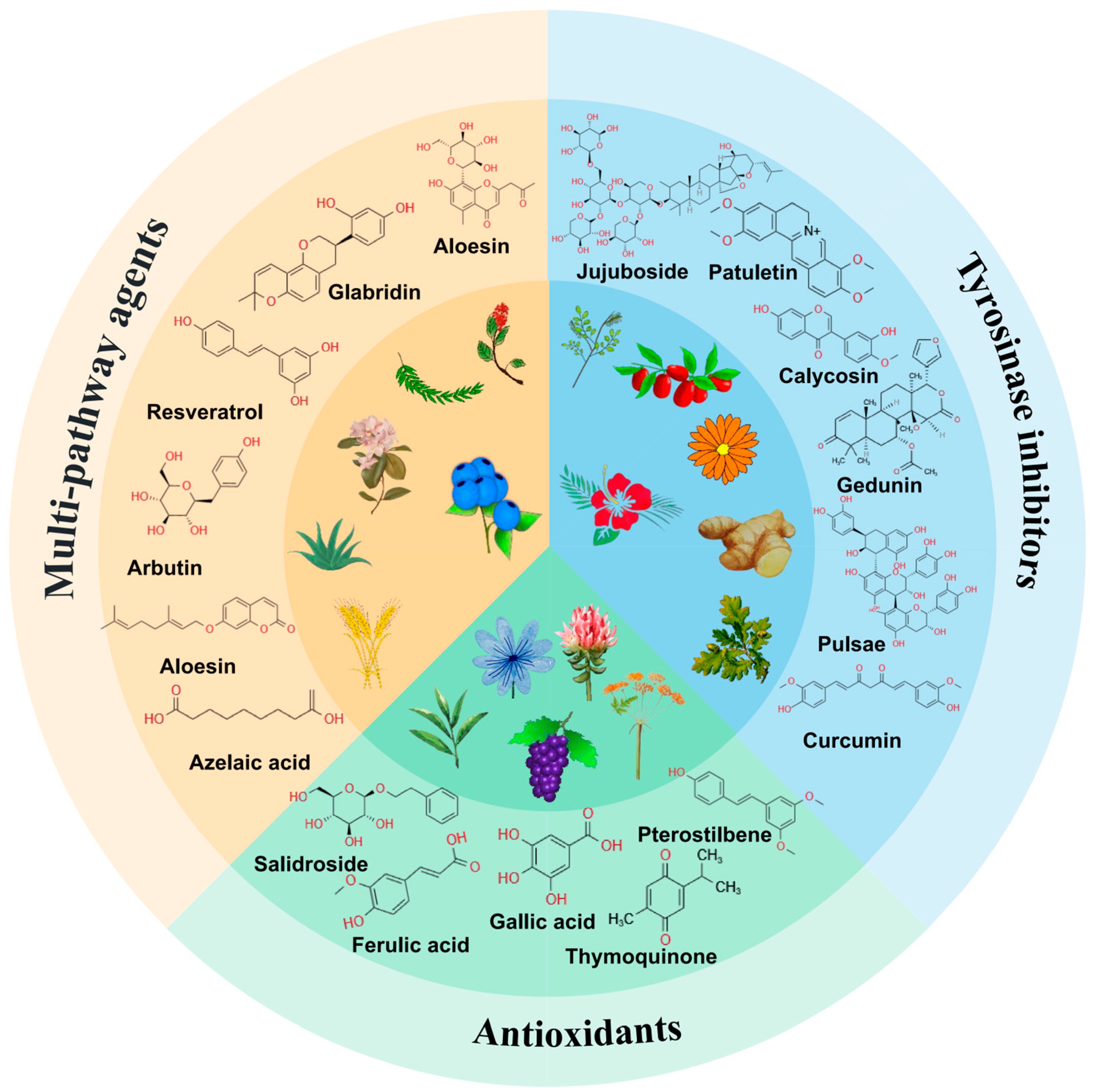 Pharmaceutics 16 01022 g002
