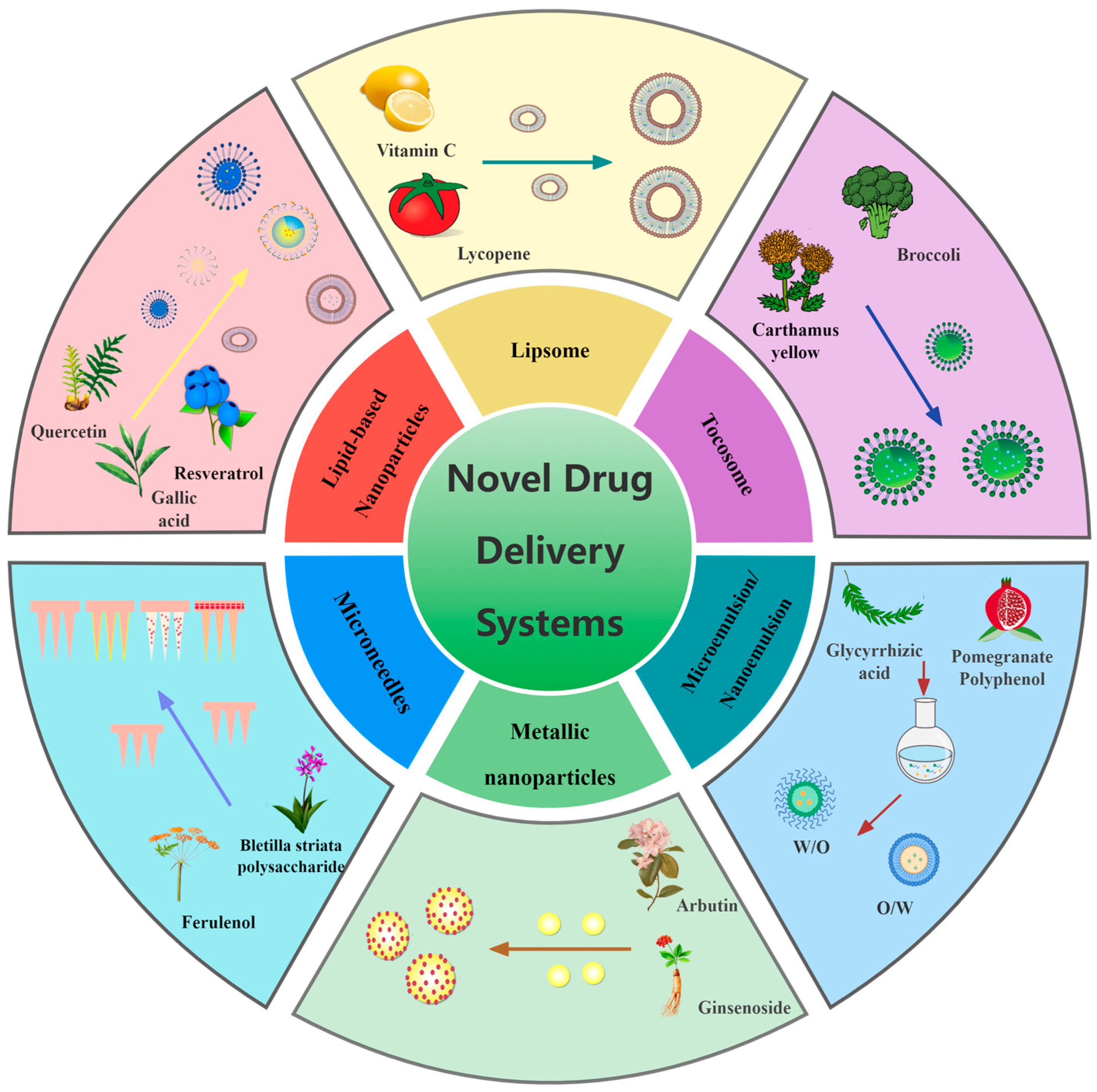 Pharmaceutics 16 01022 g003