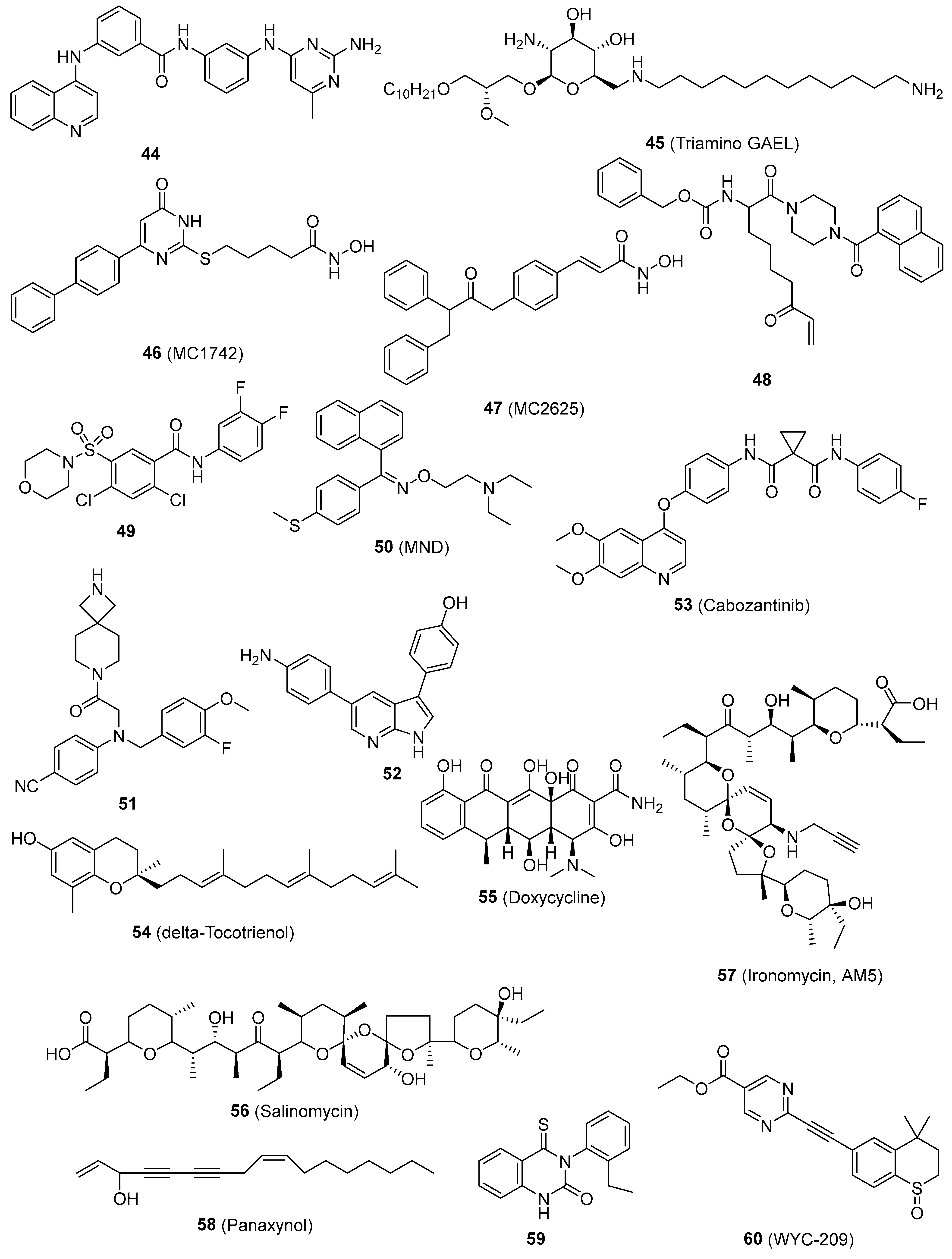 Pharmaceutics 16 01024 g004 Pharmaceutics 16 01024 g004