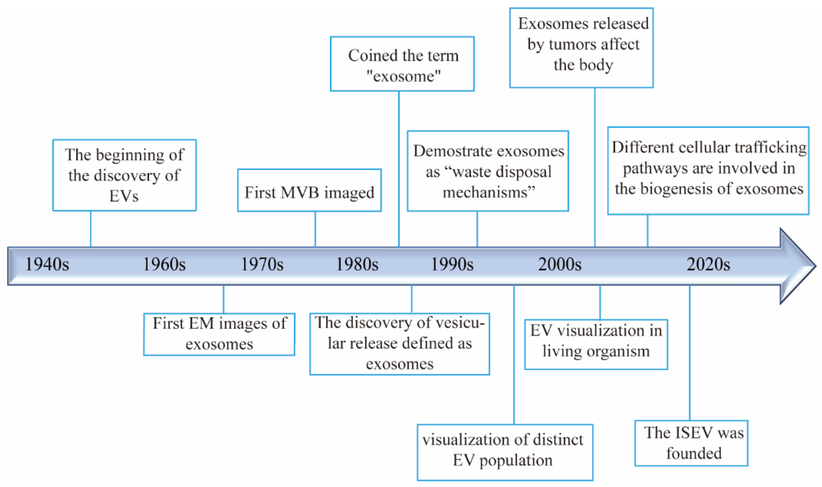 Pharmaceutics 16 01029 g001