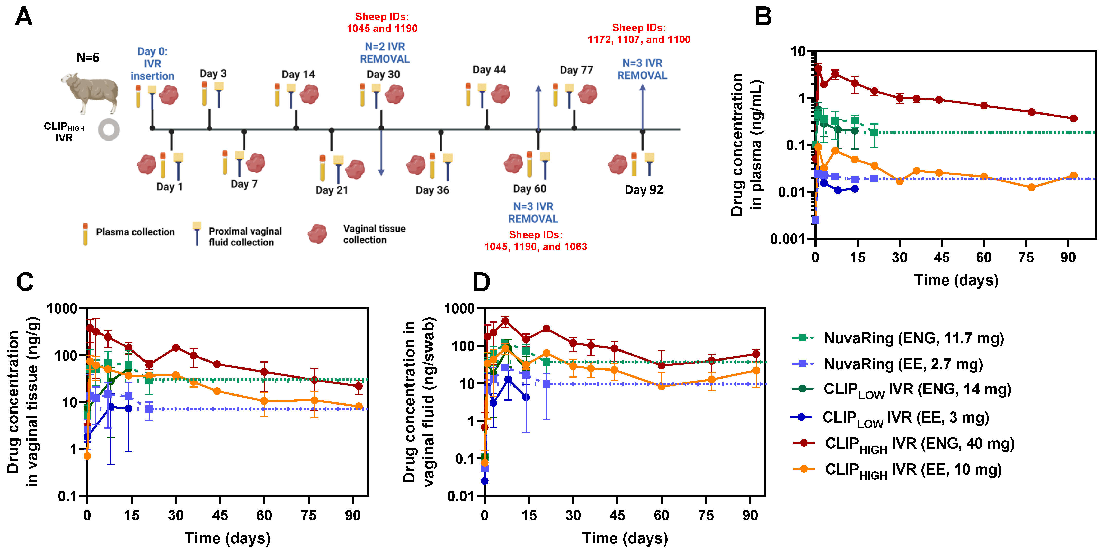 Pharmaceutics 16 01030 g005 Pharmaceutics 16 01030 g005