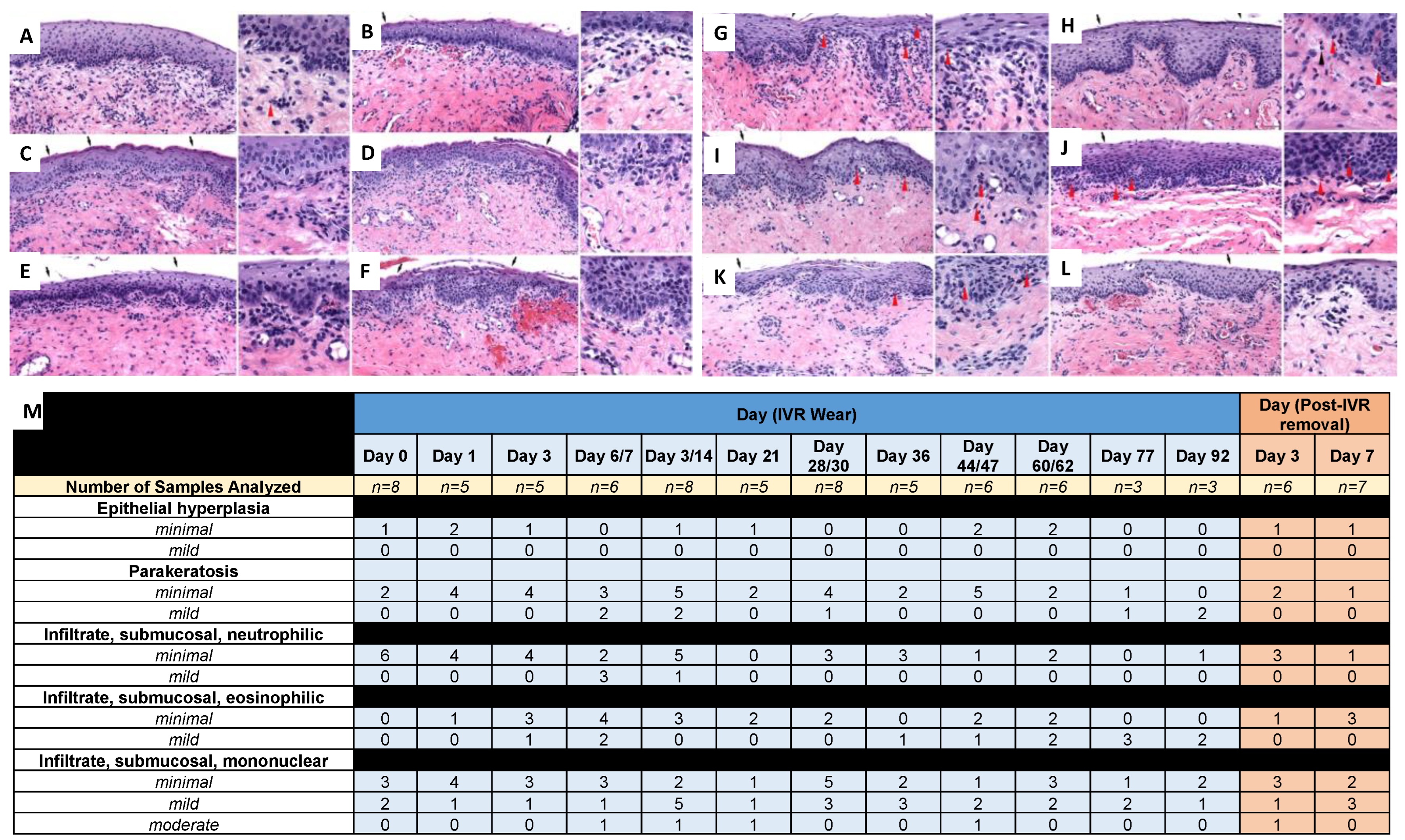 Pharmaceutics 16 01030 g009 Pharmaceutics 16 01030 g009