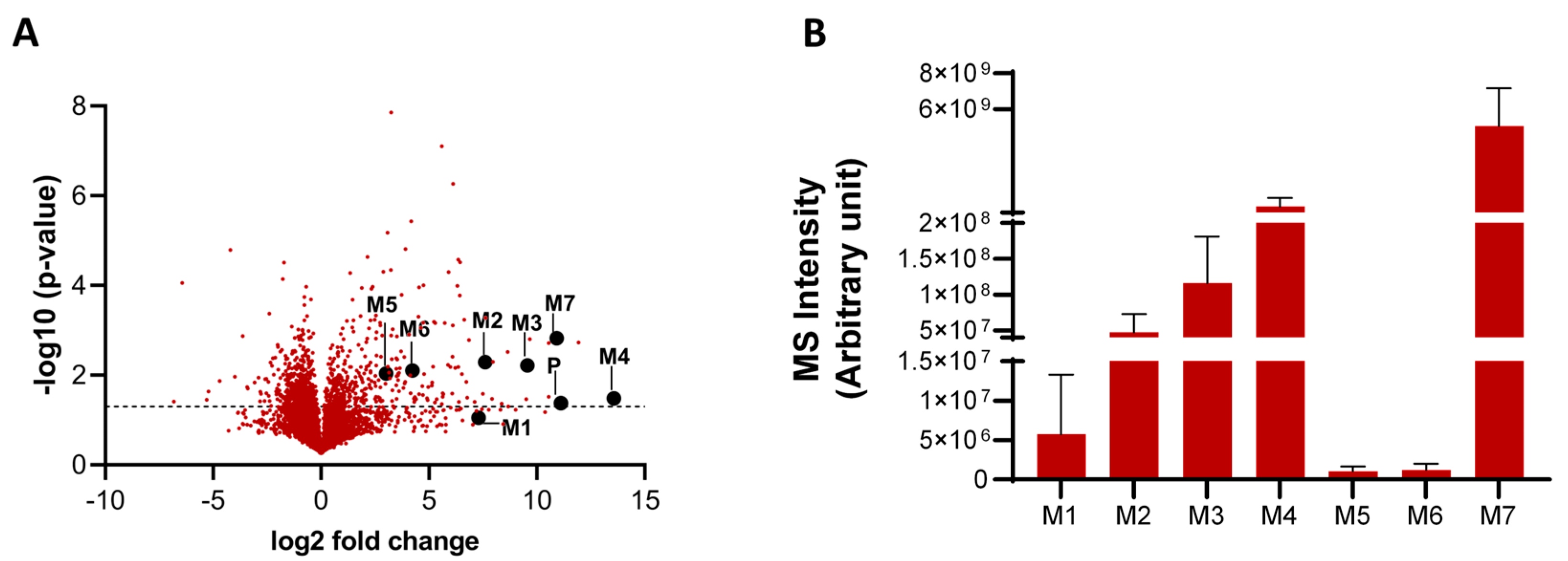 Pharmaceutics 16 01032 g002