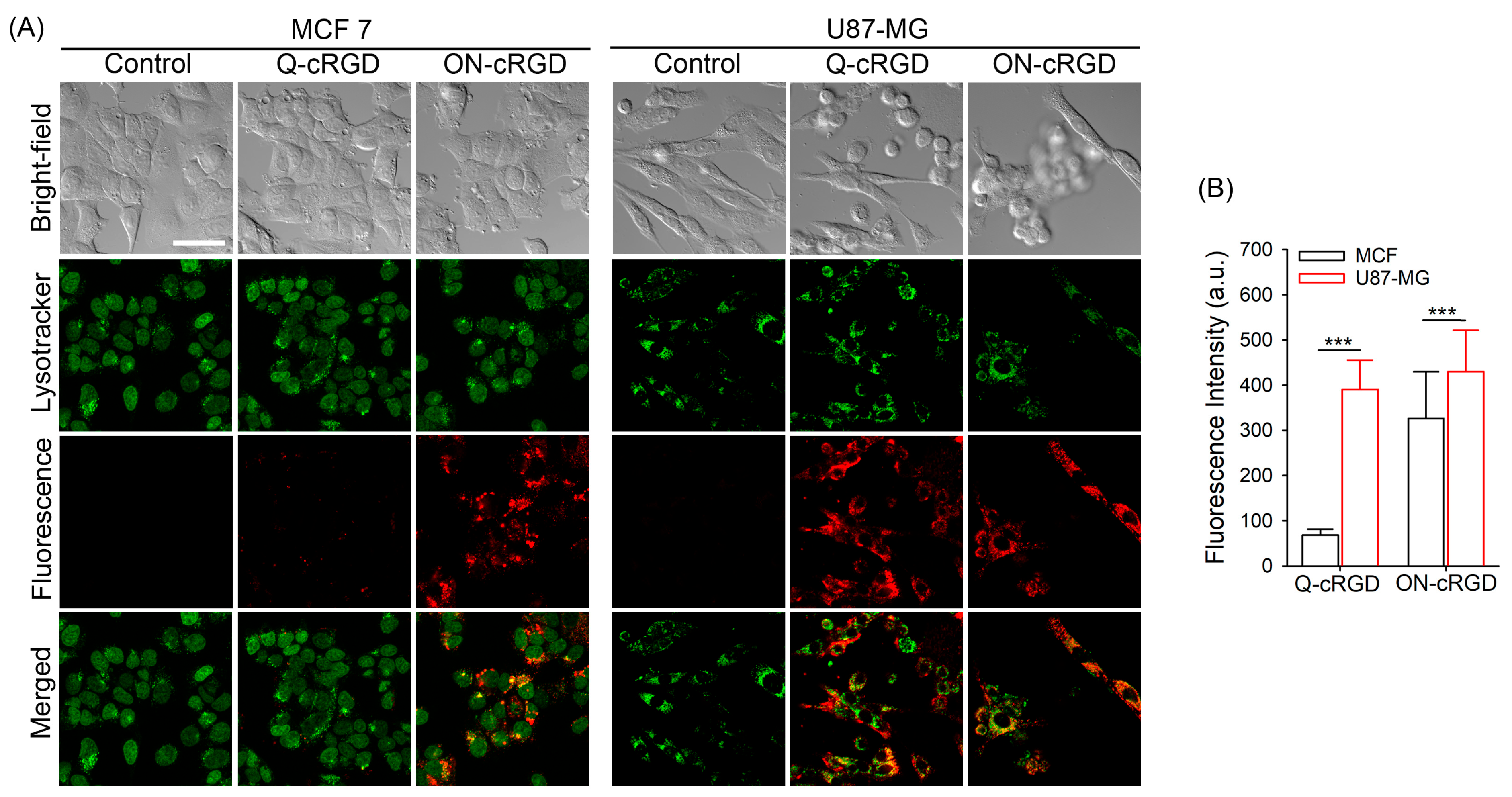 Pharmaceutics 16 01034 g003 Pharmaceutics 16 01034 g003