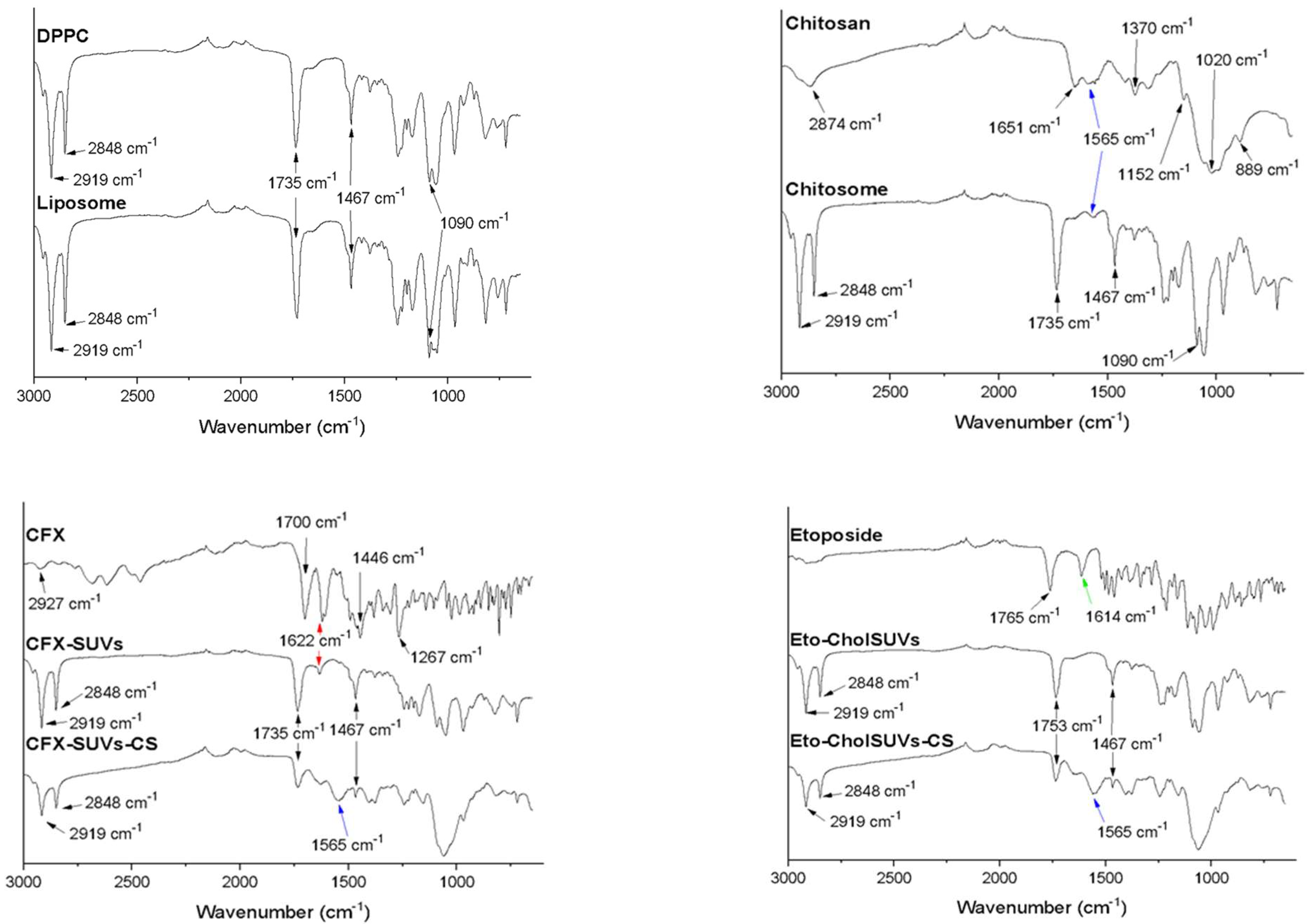 Pharmaceutics 16 01036 g001