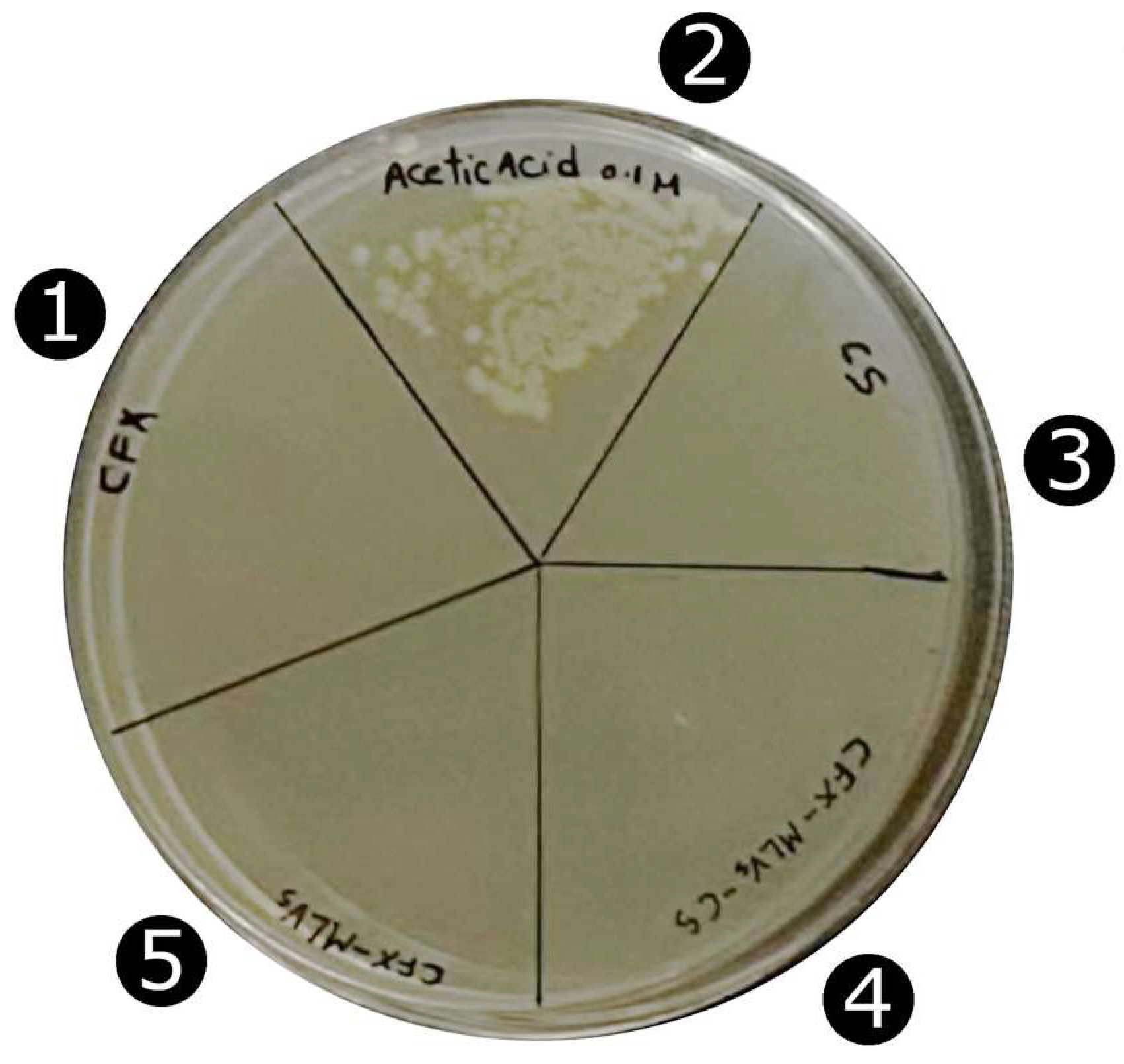 Pharmaceutics 16 01036 g003