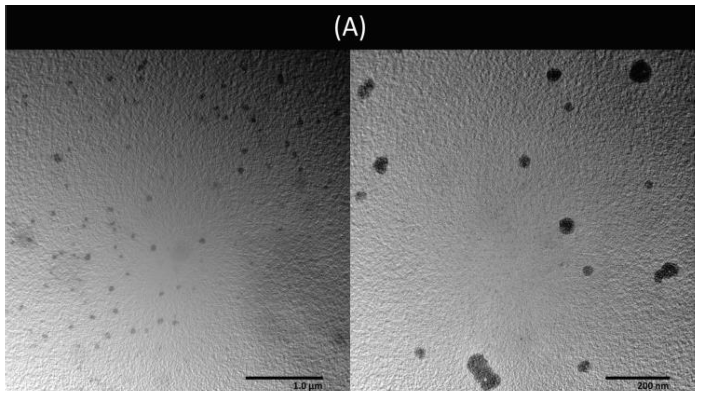Pharmaceutics 16 01038 g008a