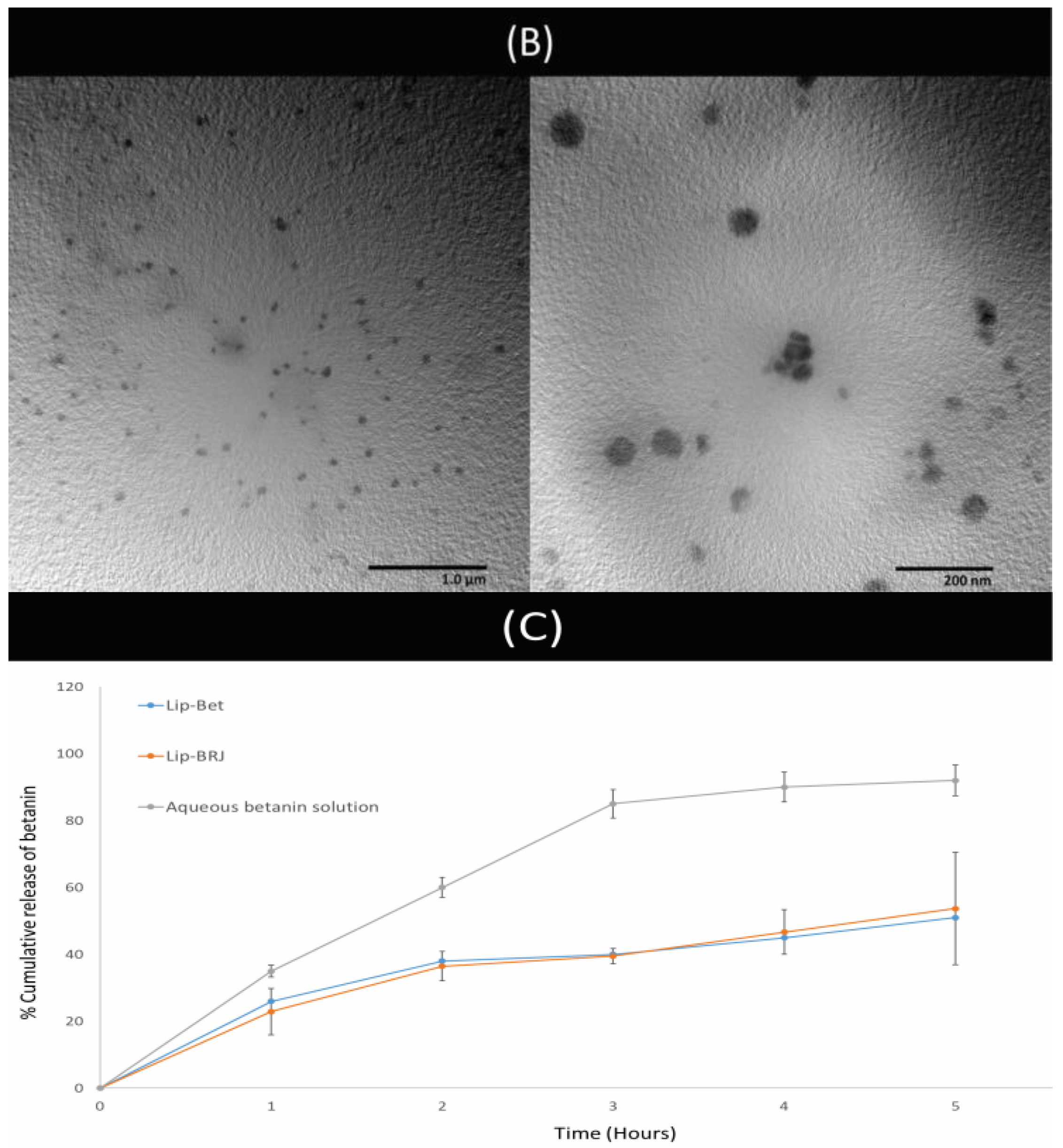 Pharmaceutics 16 01038 g008b