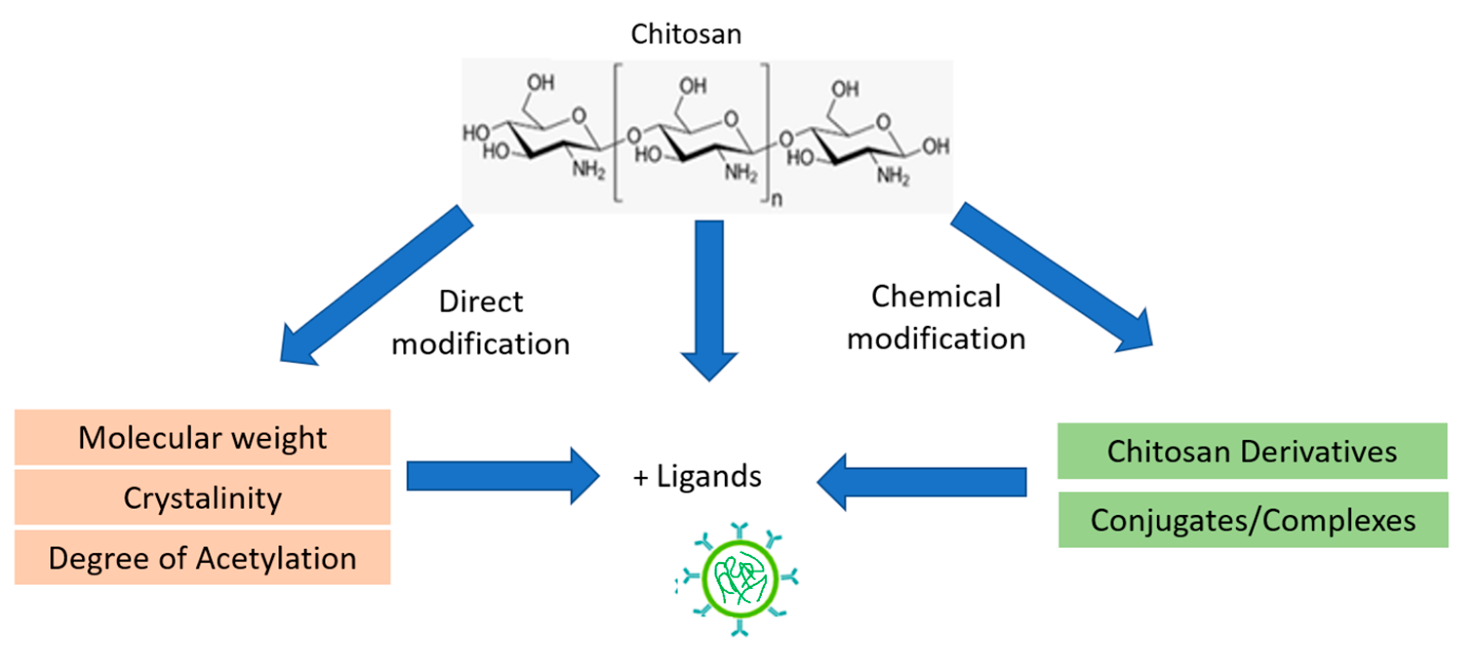 Pharmaceutics 16 01043 g001
