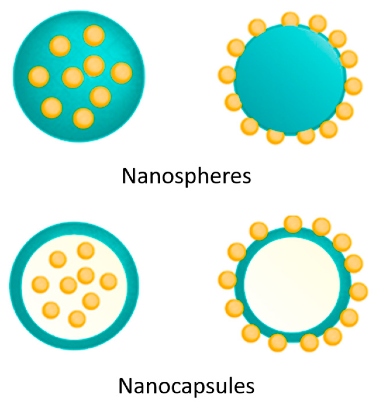 Pharmaceutics 16 01043 g002