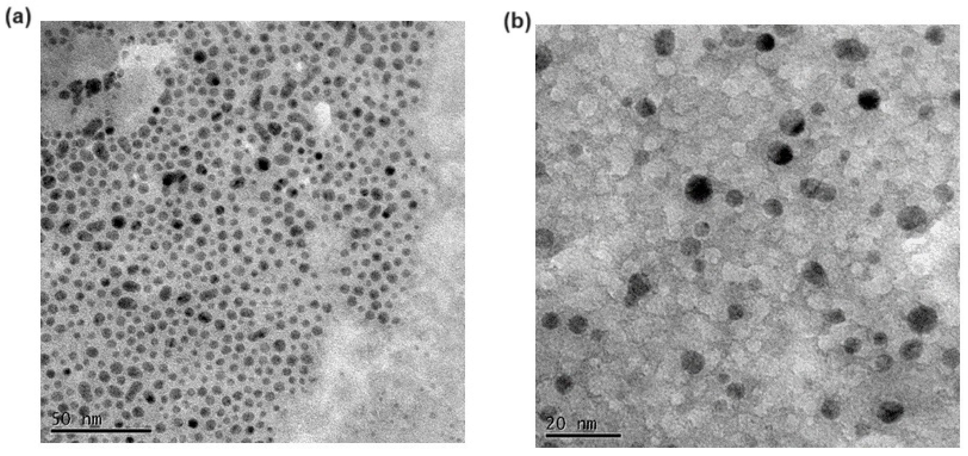 Pharmaceutics 16 01048 g001