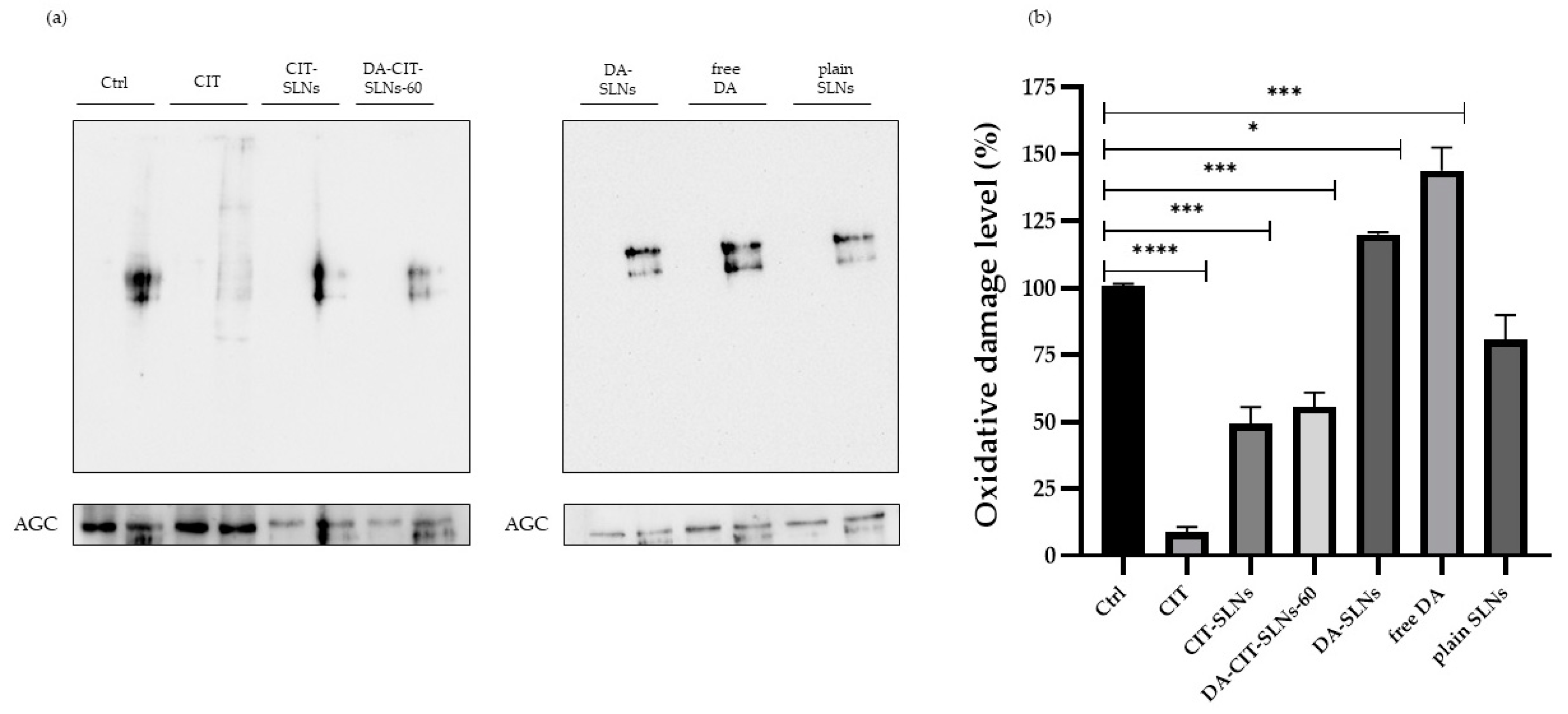 Pharmaceutics 16 01048 g006