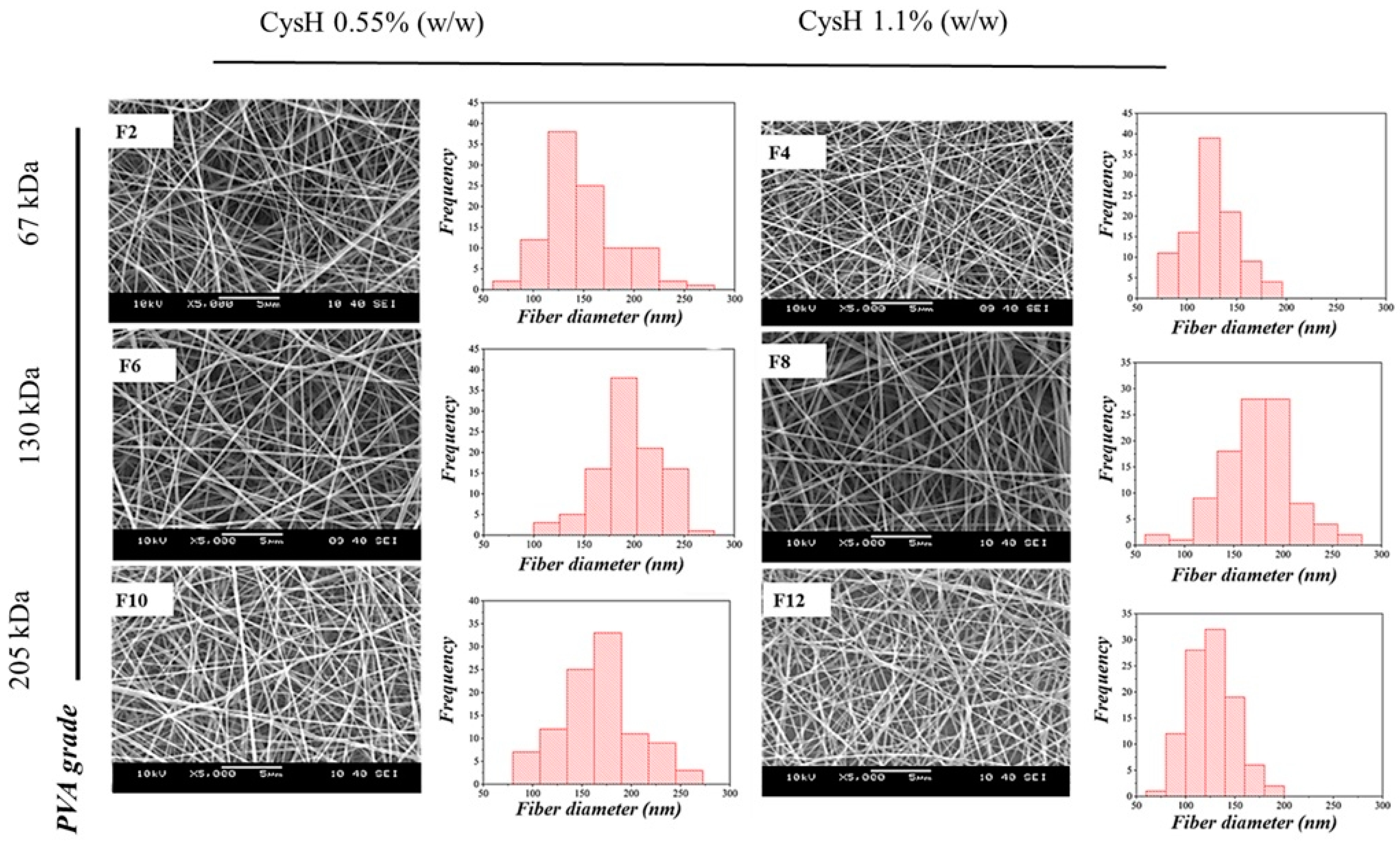 Pharmaceutics 16 01052 g001