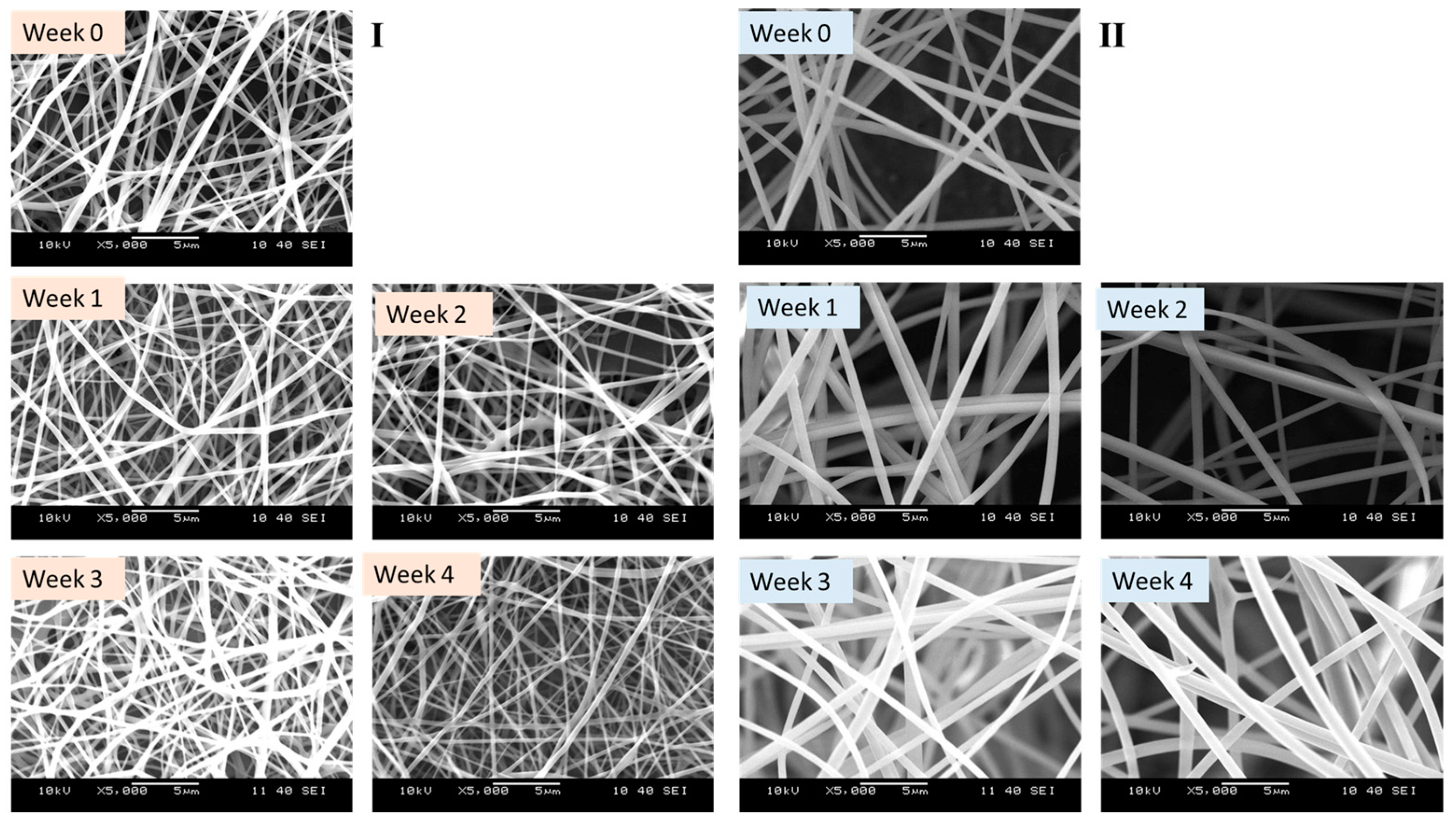 Pharmaceutics 16 01052 g006