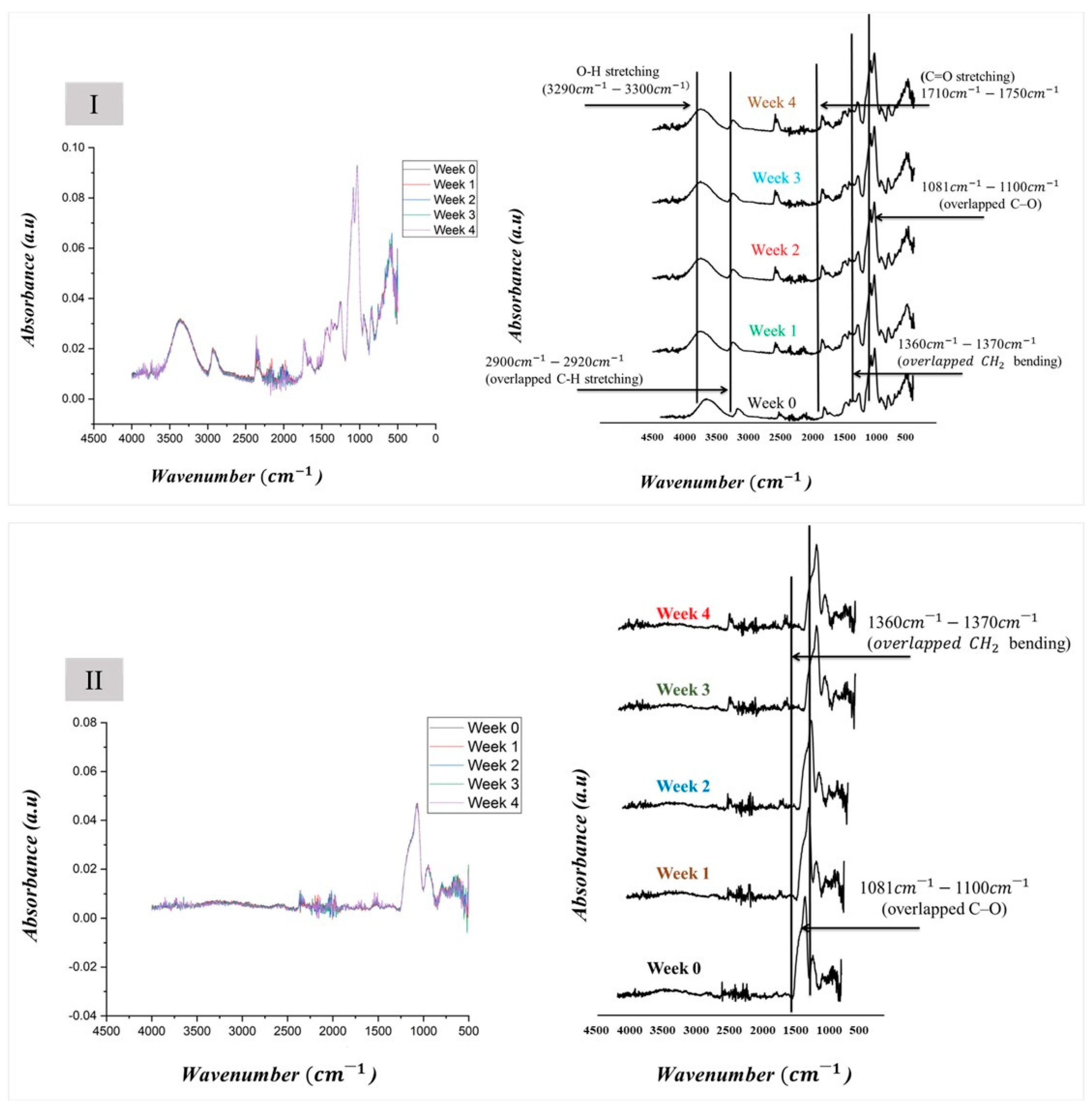 Pharmaceutics 16 01052 g007