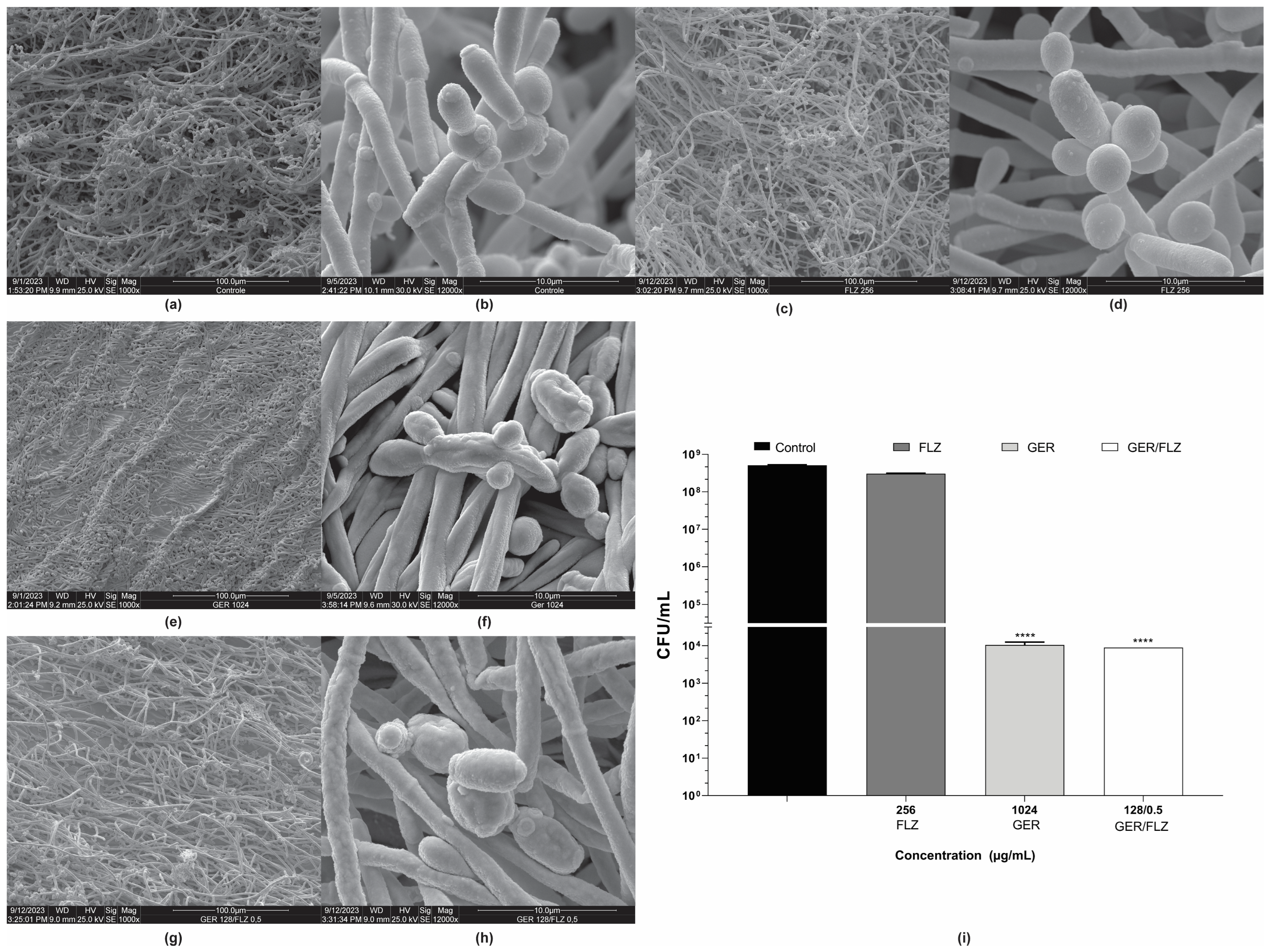 Pharmaceutics 16 01053 g008