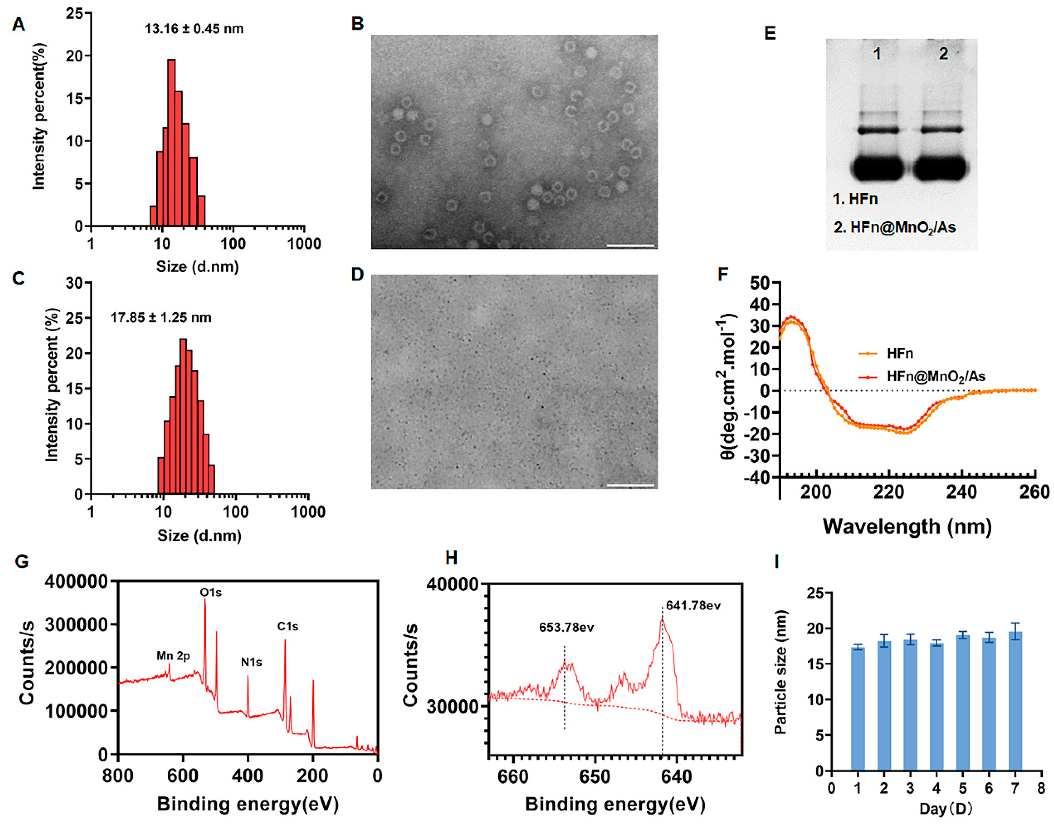 Pharmaceutics 16 01057 g001