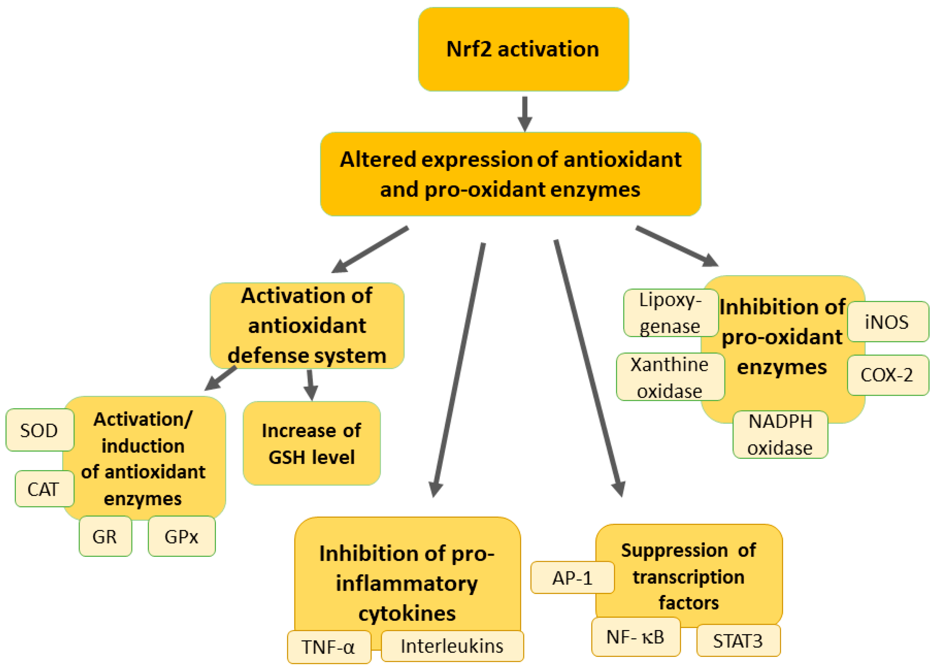 Pharmaceutics 16 01068 g002