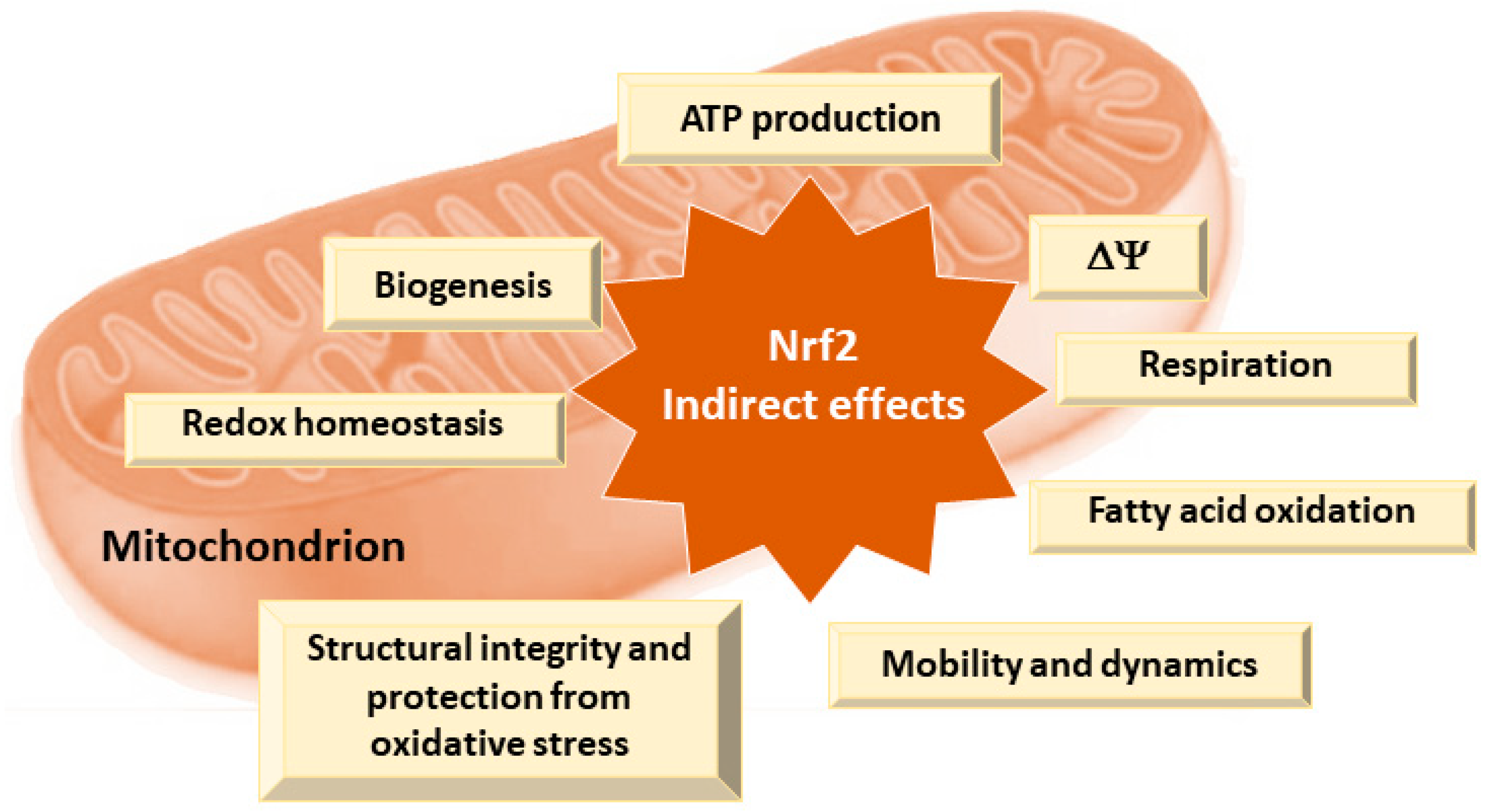 Pharmaceutics 16 01068 g003