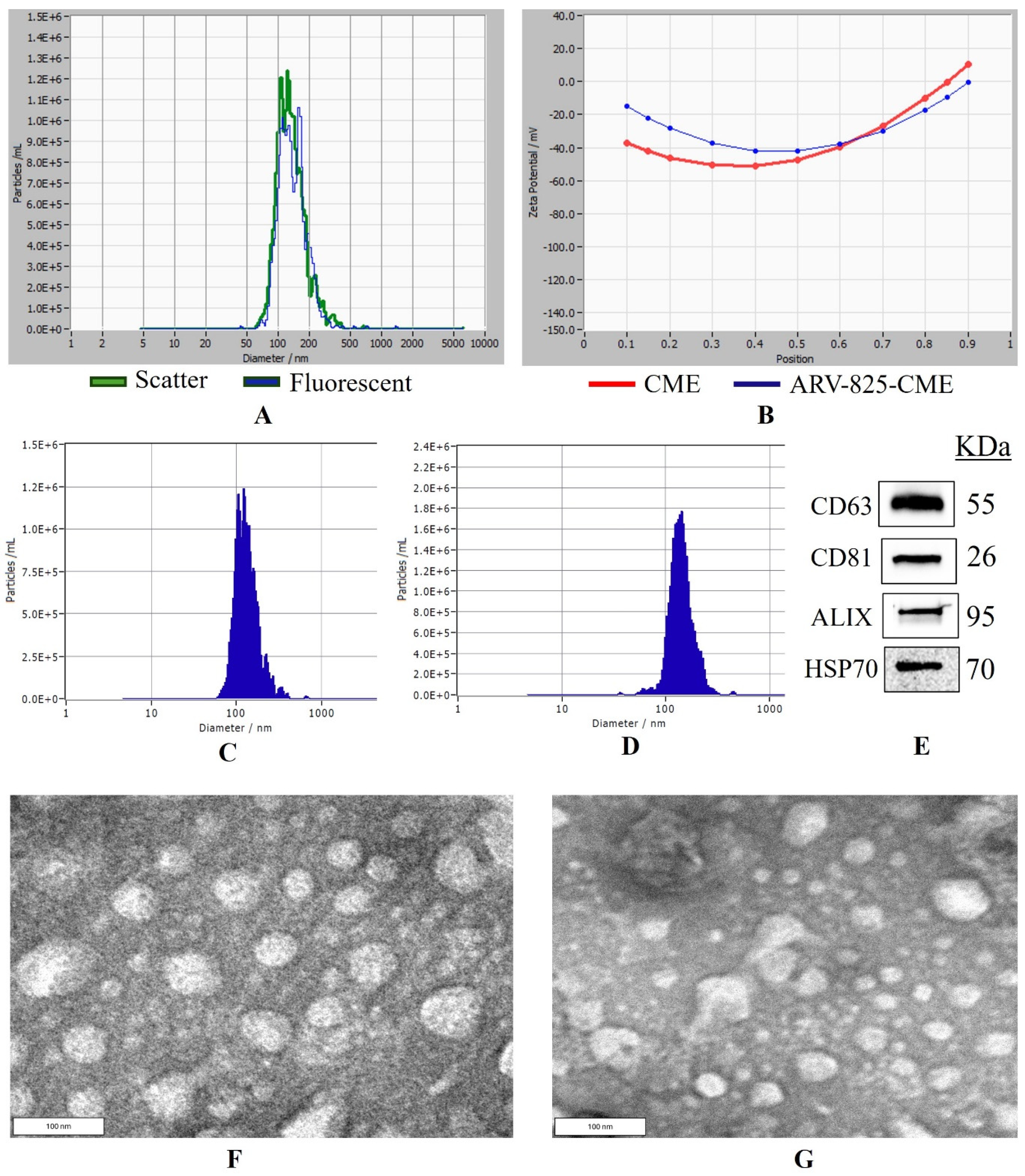 Pharmaceutics 16 01070 g001 Pharmaceutics 16 01070 g001