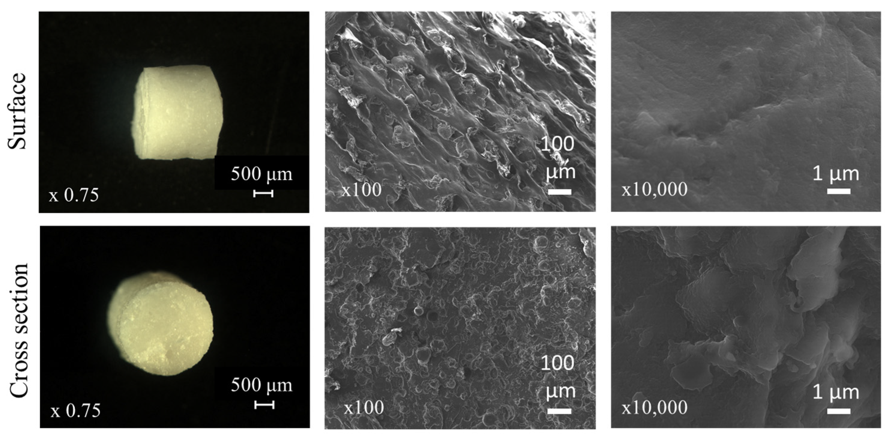 Pharmaceutics 16 01071 g006 Pharmaceutics 16 01071 g006