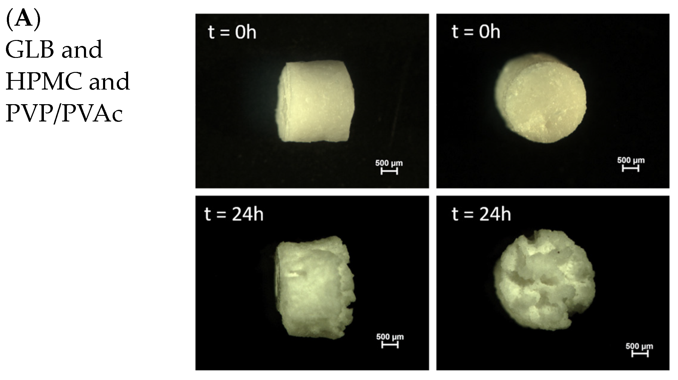 Pharmaceutics 16 01071 g010a Pharmaceutics 16 01071 g010a