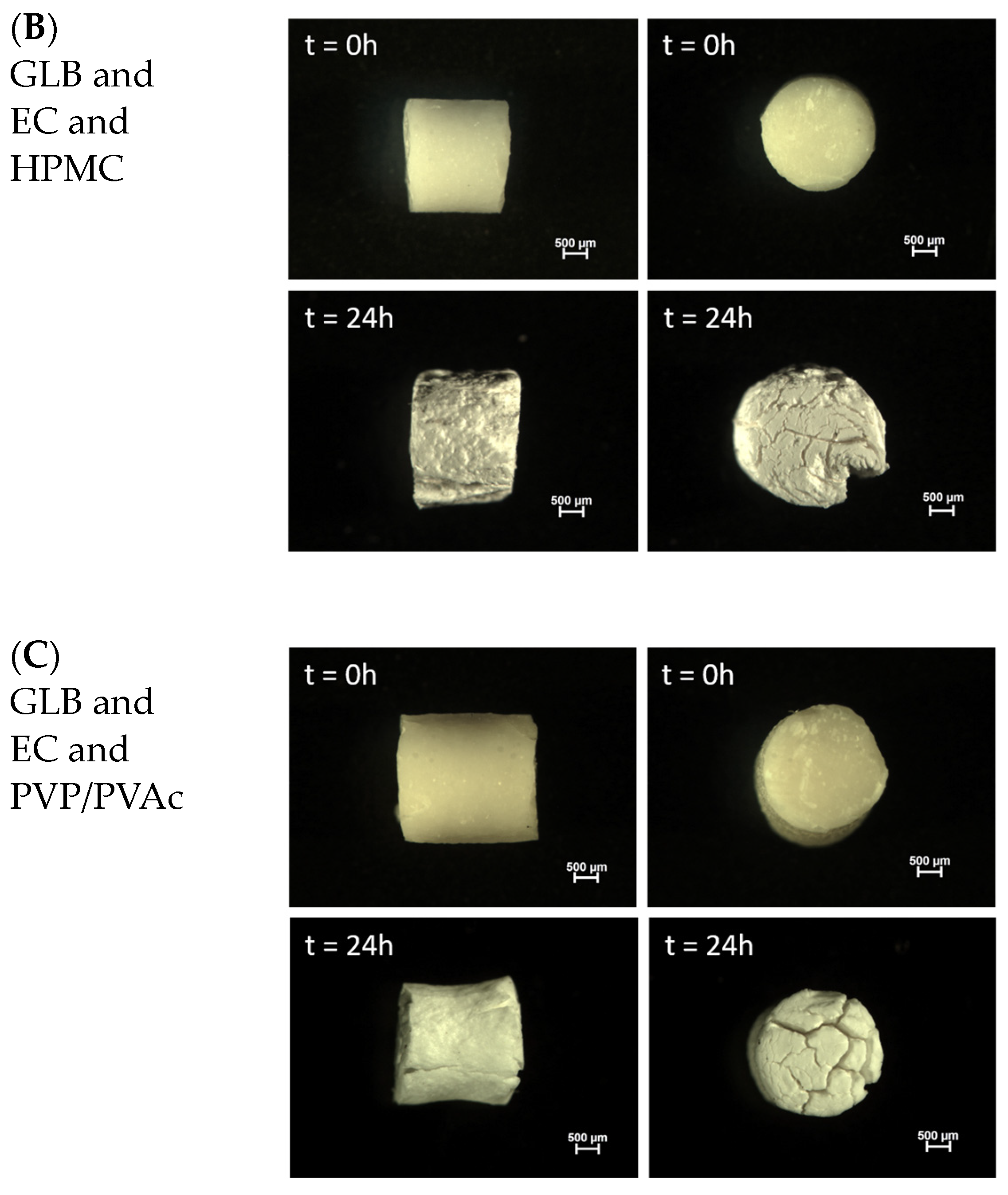 Pharmaceutics 16 01071 g010b Pharmaceutics 16 01071 g010b