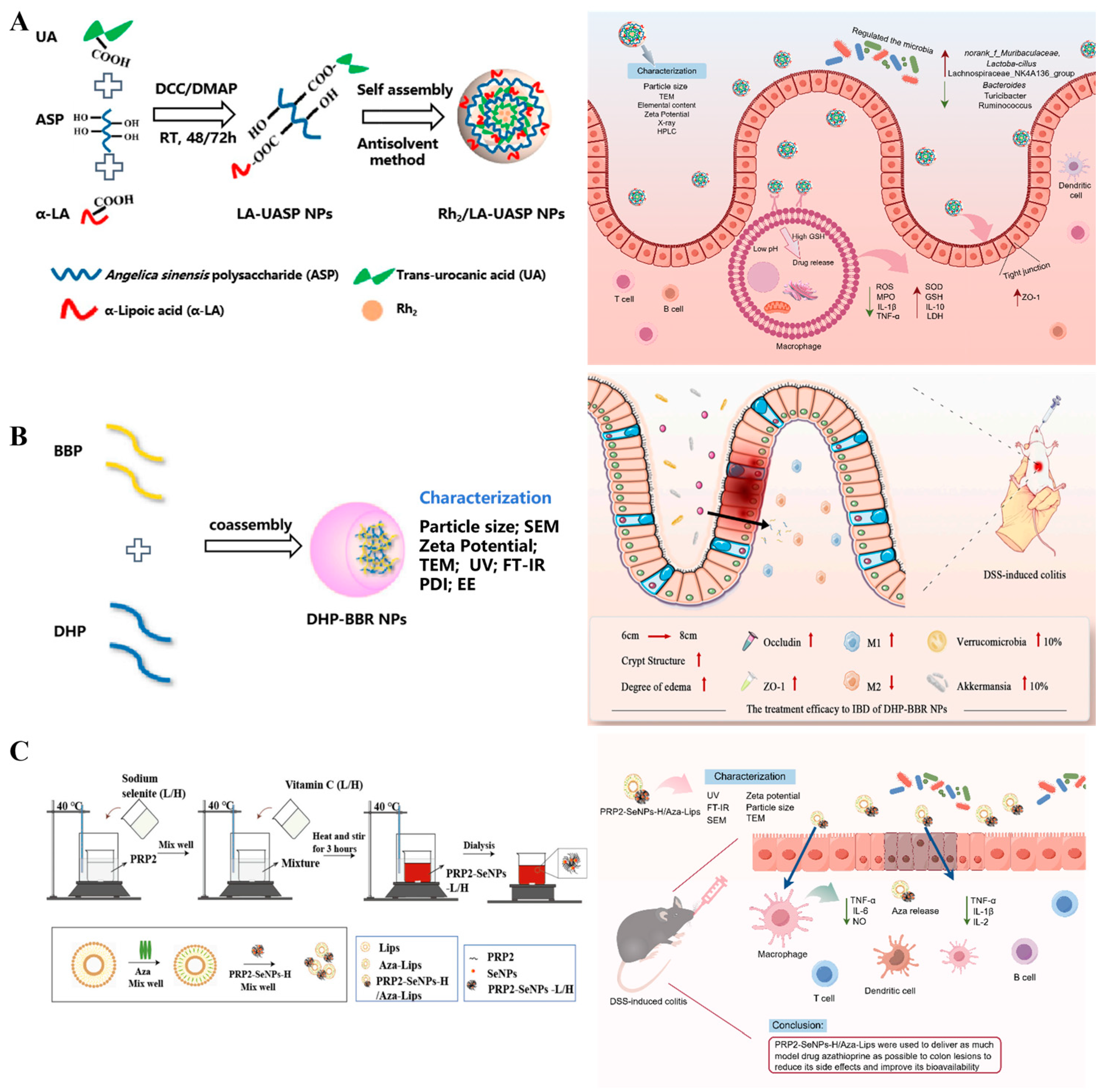 Pharmaceutics 16 01073 g003