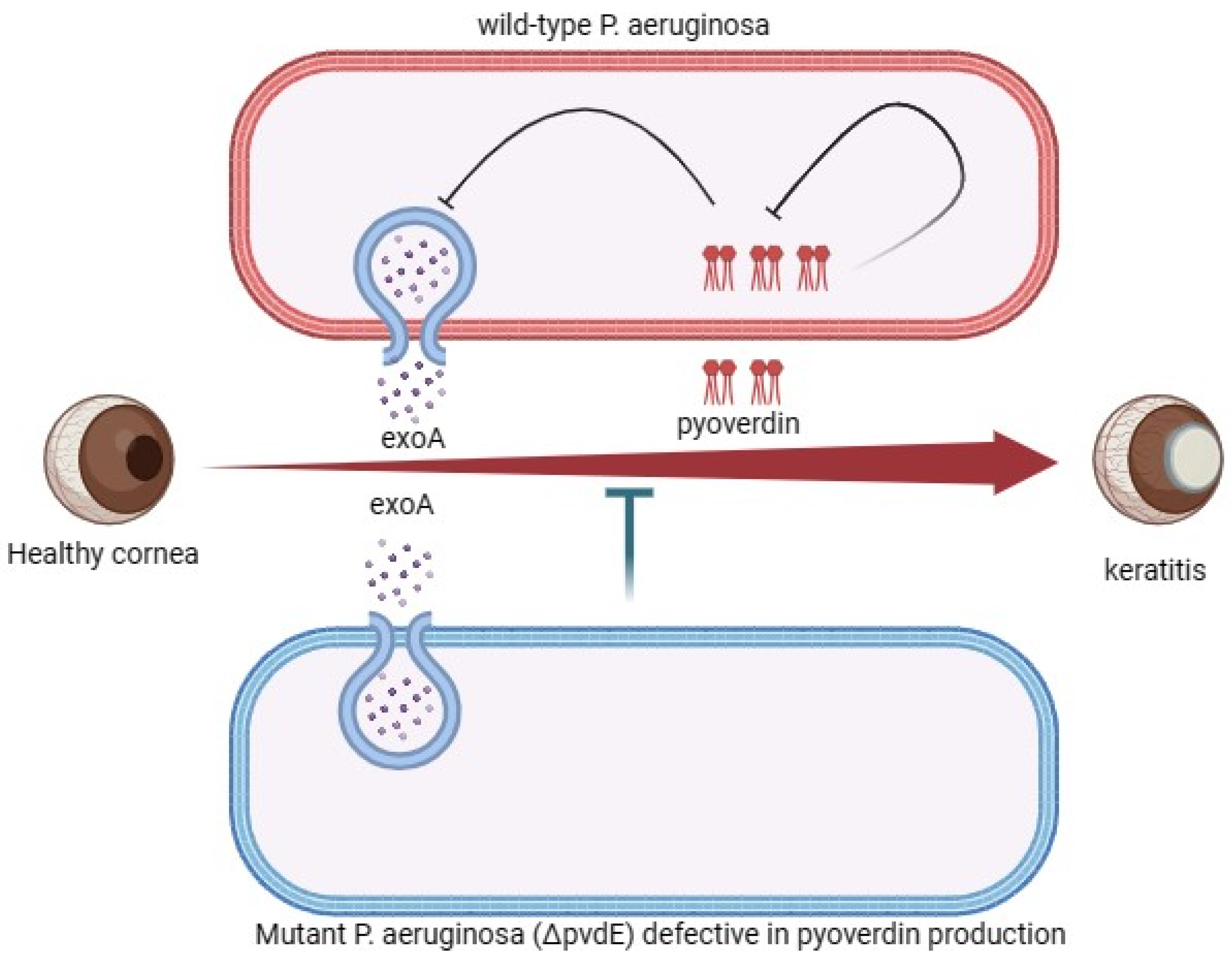 Pharmaceutics 16 01074 g003 Pharmaceutics 16 01074 g003
