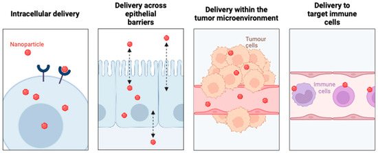 Recent Review on Biological Barriers and Host–Material