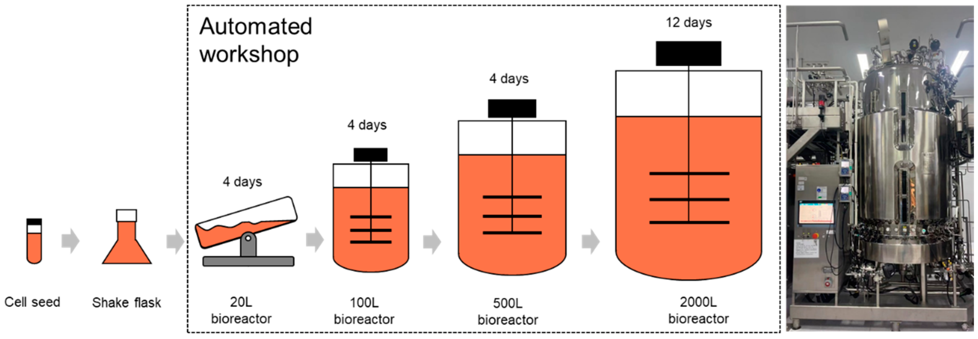 Pharmaceutics 16 01082 g005
