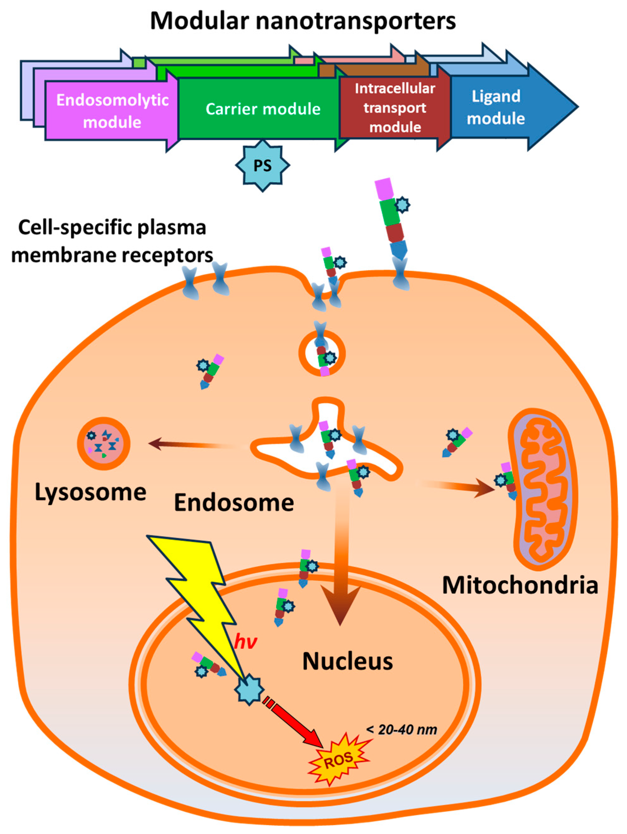 Pharmaceutics 16 01083 g001