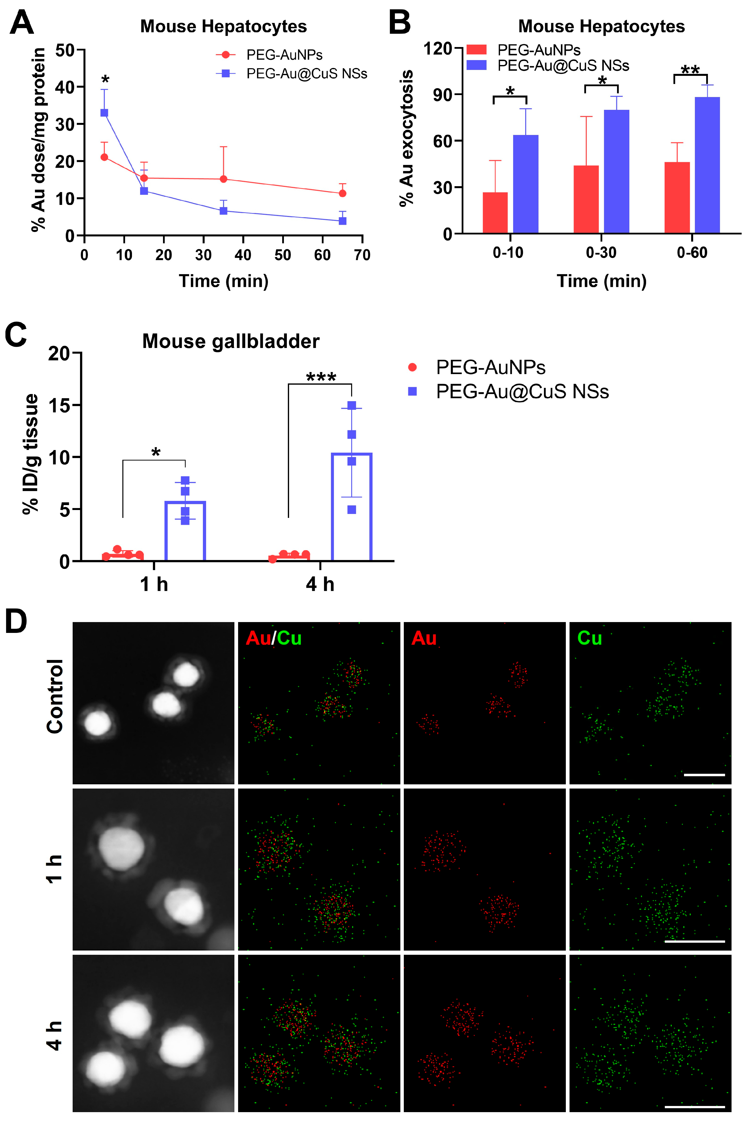 Pharmaceutics 16 01089 g002
