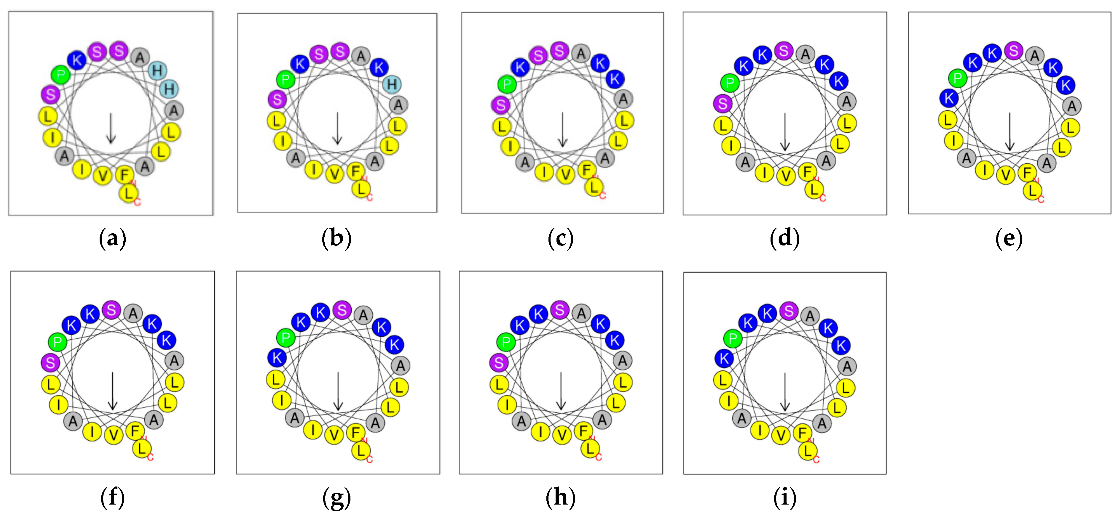Pharmaceutics 16 01098 g003